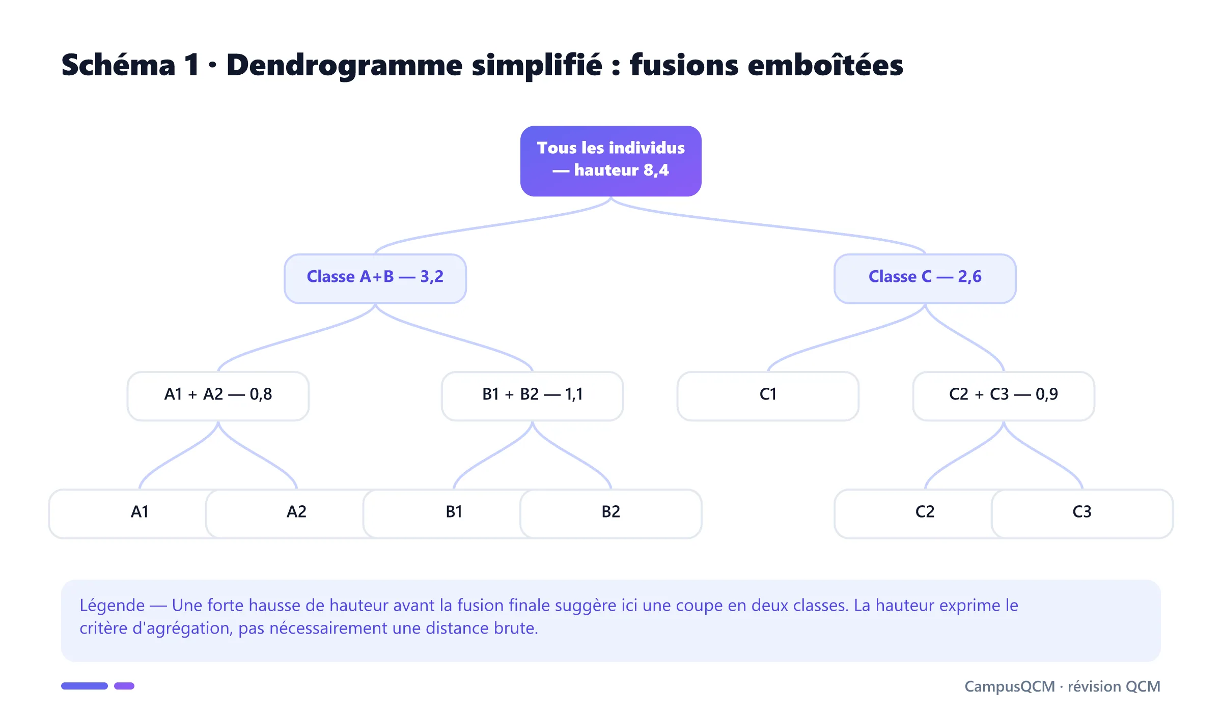 Dendrogramme simplifié de sept individus montrant les fusions successives et leurs hauteurs d'agrégation.