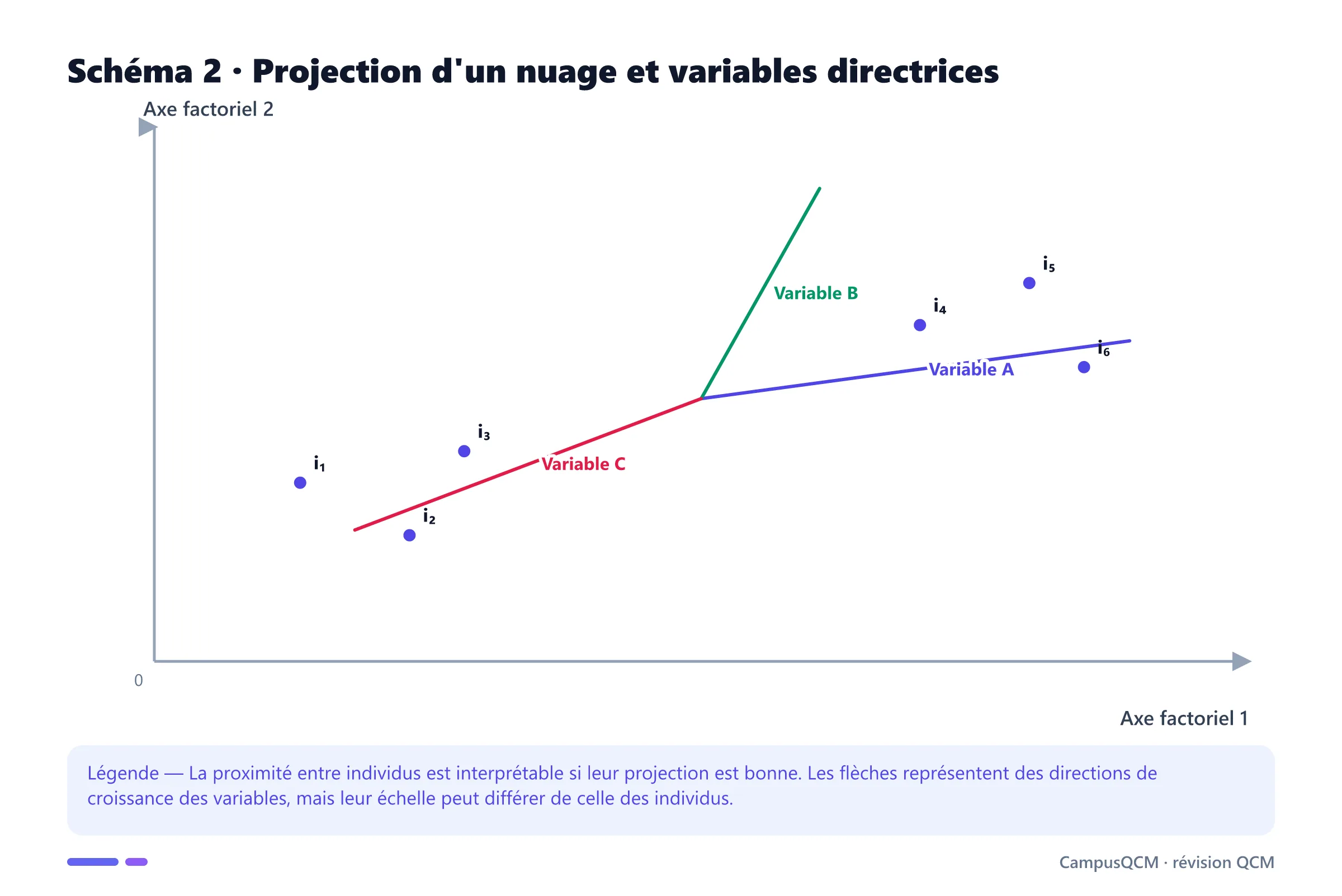 Biplot simplifié montrant six individus projetés et trois directions de variables sur deux axes factoriels.