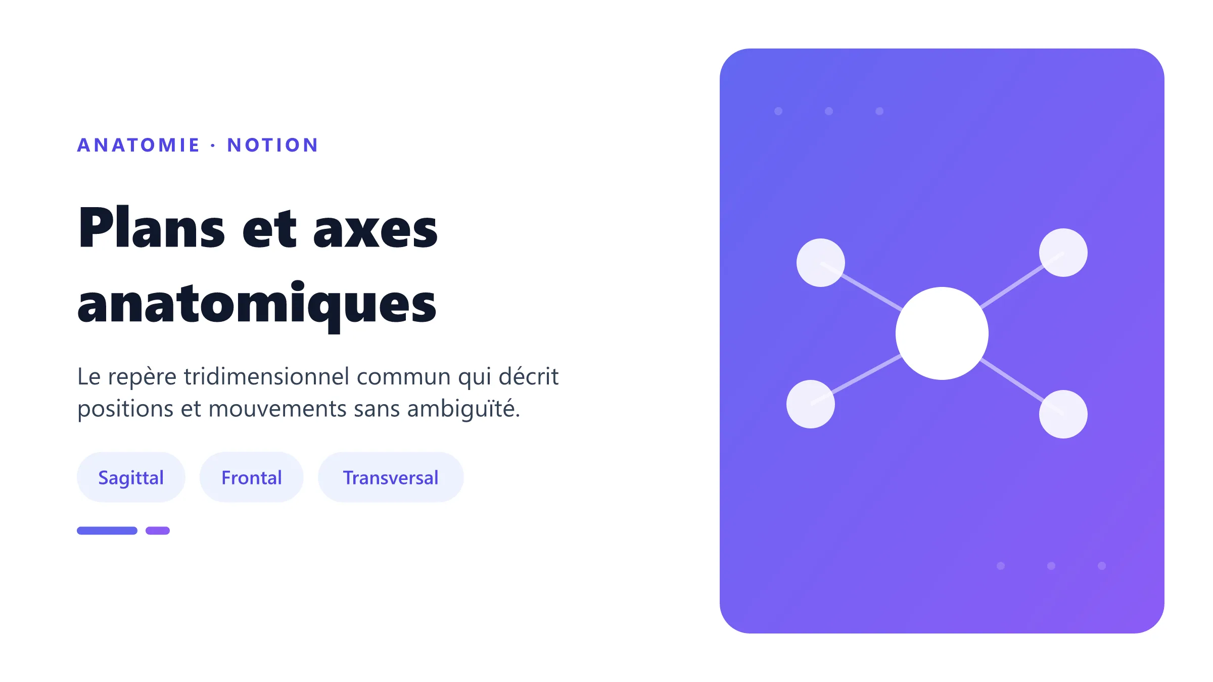 Plans et axes anatomiques Plans anatomiques du corps humain.