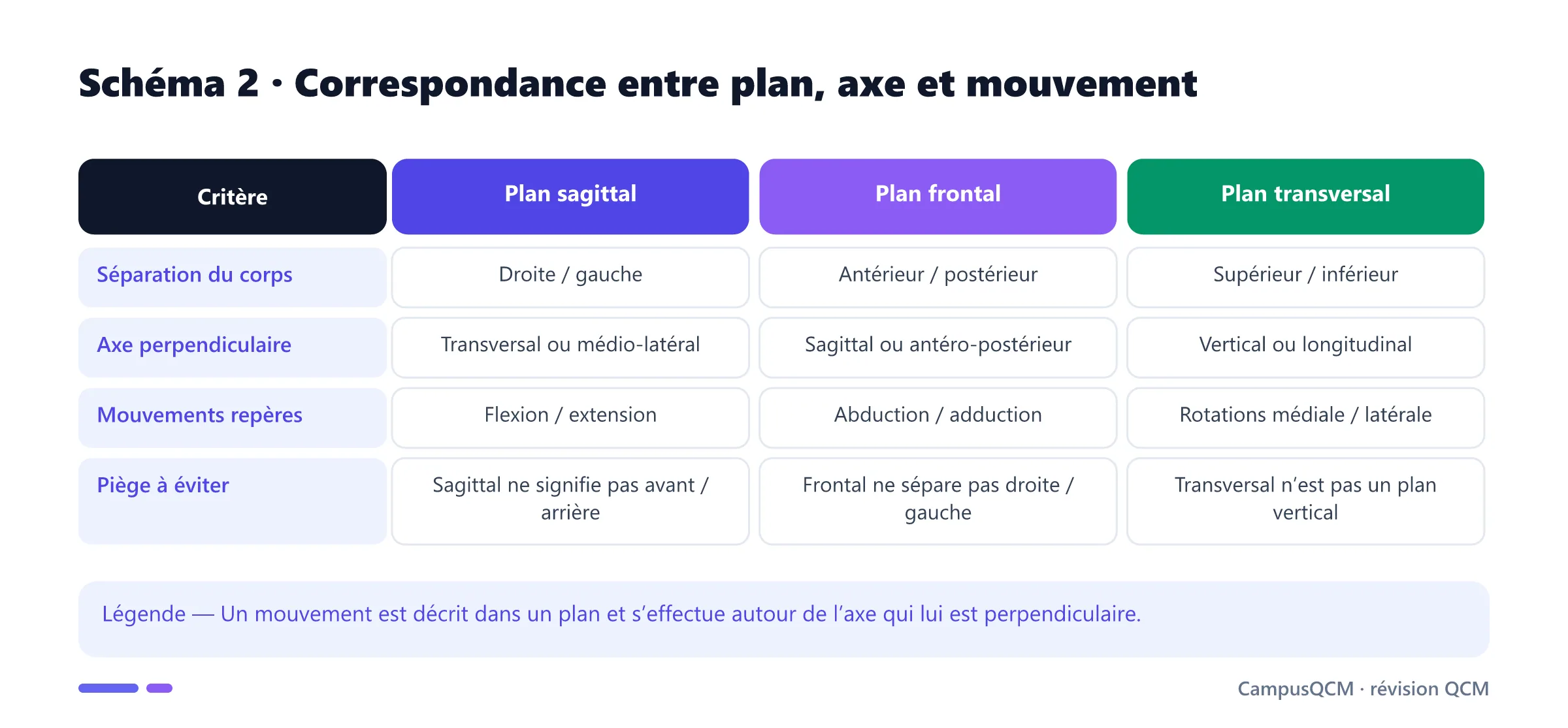 Tableau reliant chaque plan anatomique à son axe perpendiculaire, sa séparation et ses mouvements caractéristiques.
