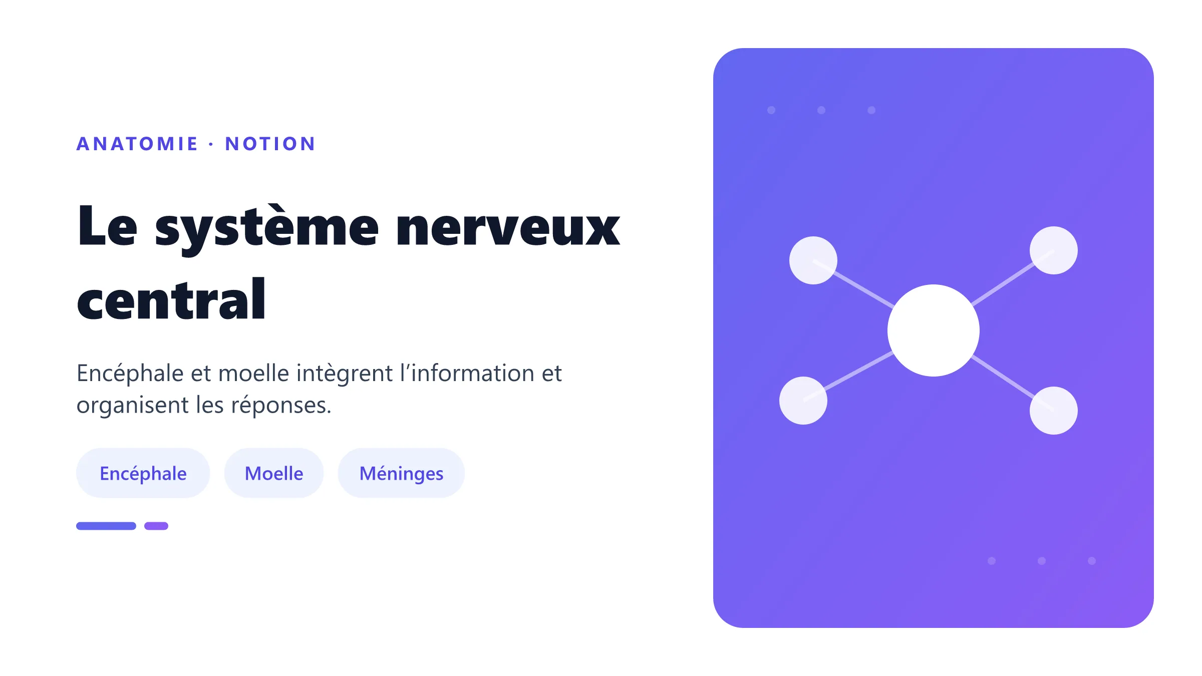 Le système nerveux central Encéphale et moelle spinale.