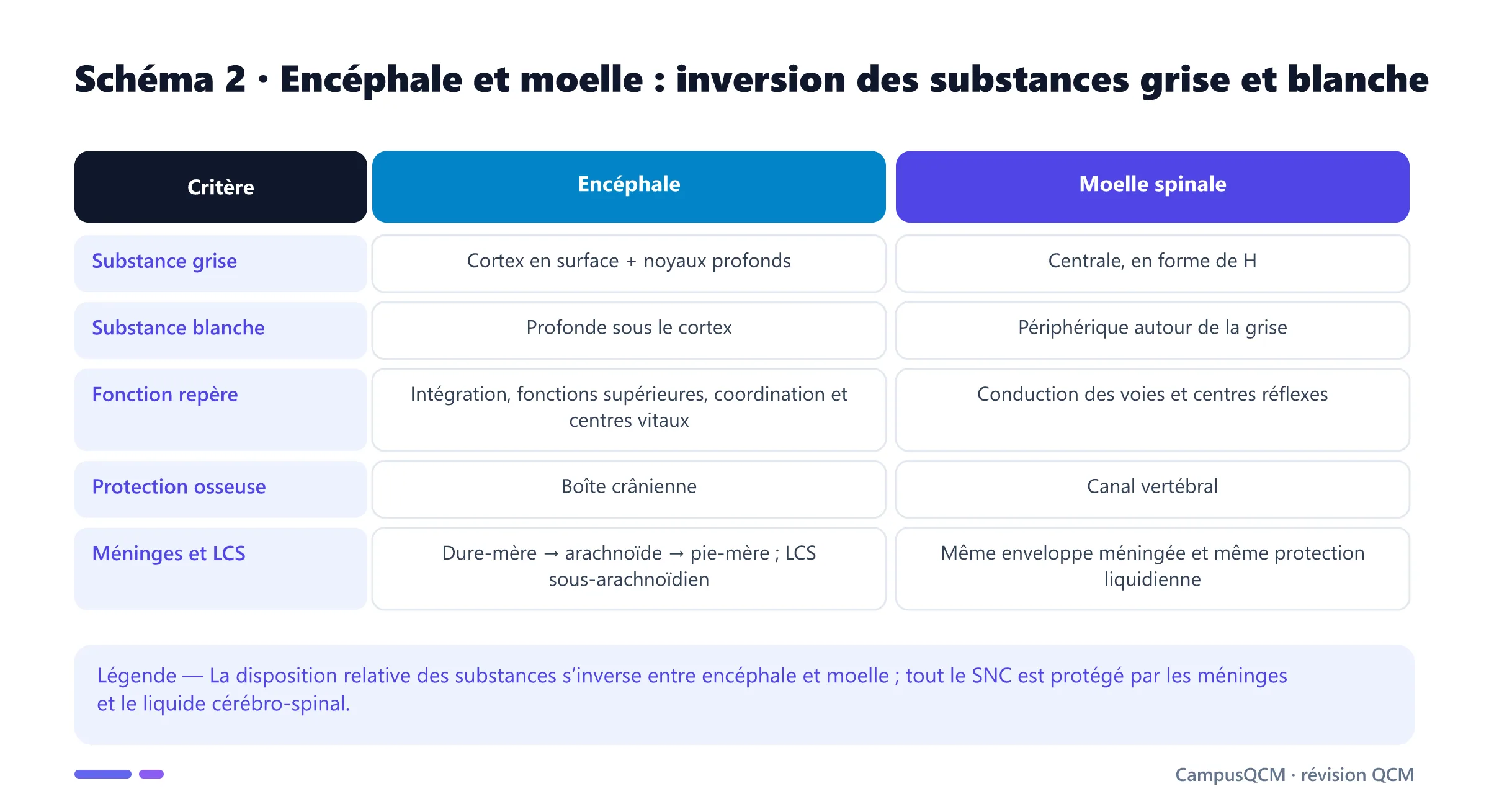 Tableau comparant encéphale et moelle spinale selon la position des substances grise et blanche, leurs fonctions et leurs protections.