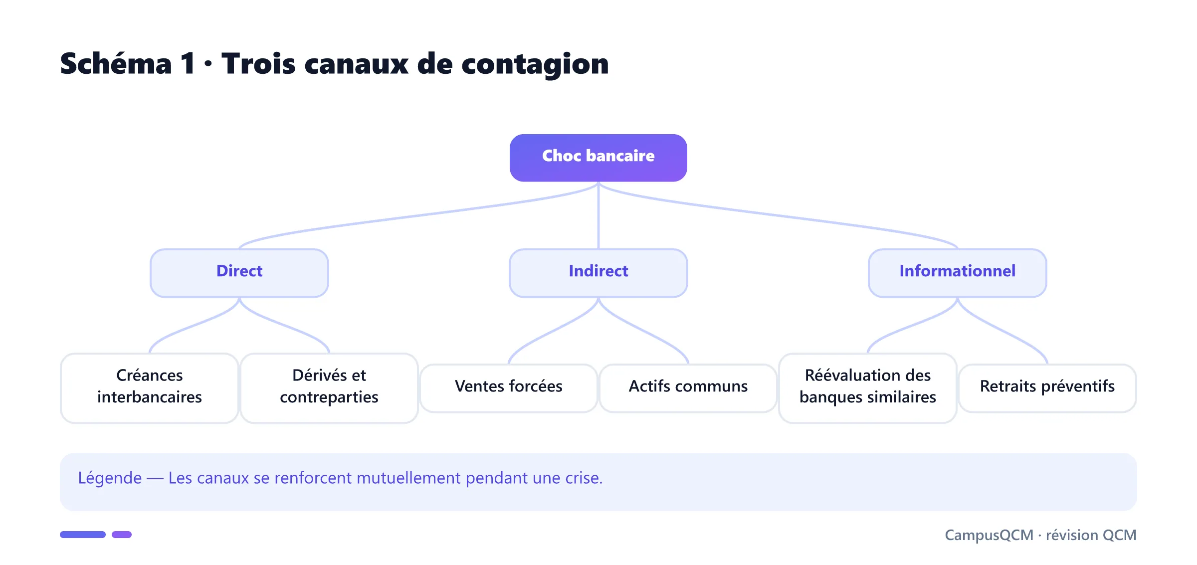 Arbre des canaux direct, indirect et informationnel de contagion.