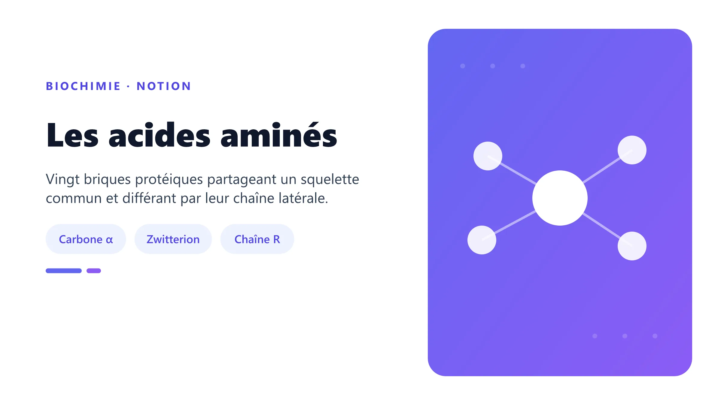 Les acides aminés Structure générale d'un acide aminé.