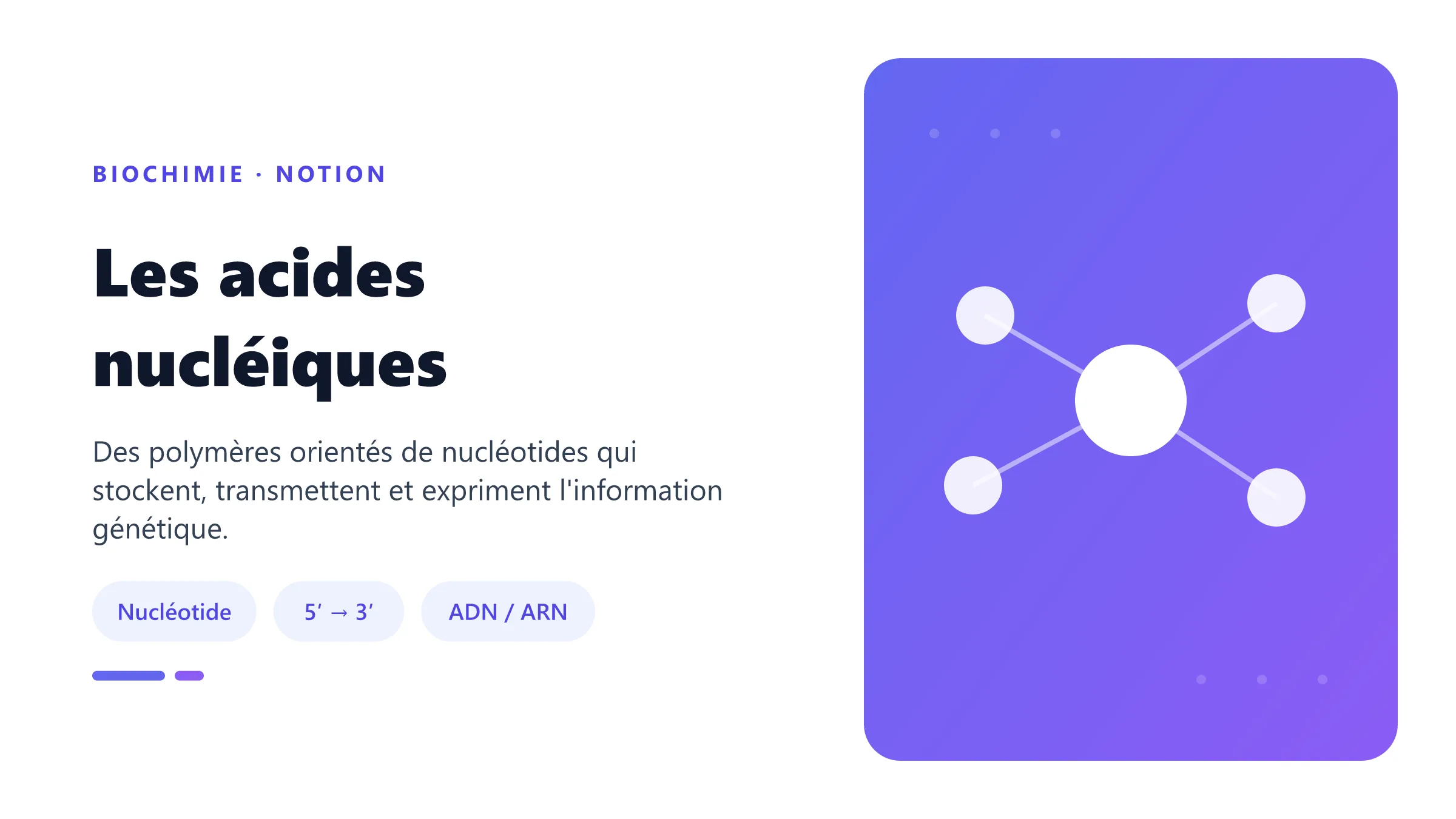 Les acides nucléiques Nucléotide et chaîne d'acide nucléique.