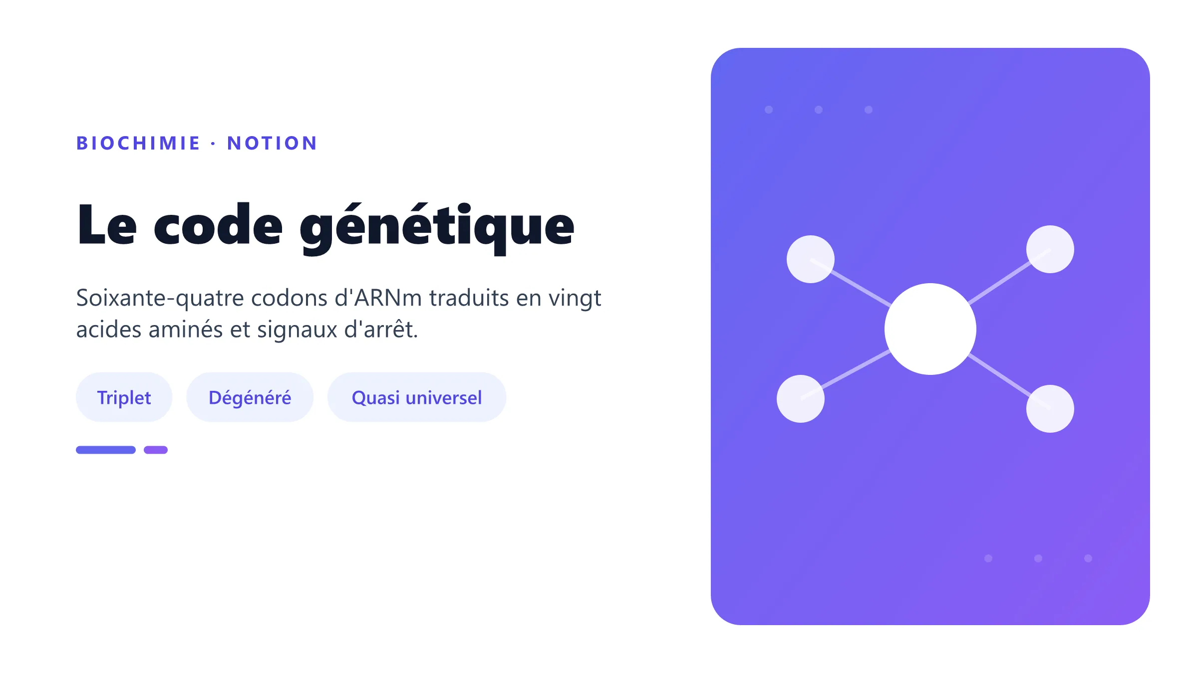 Le code génétique Décodage d'un codon par un ARNt.