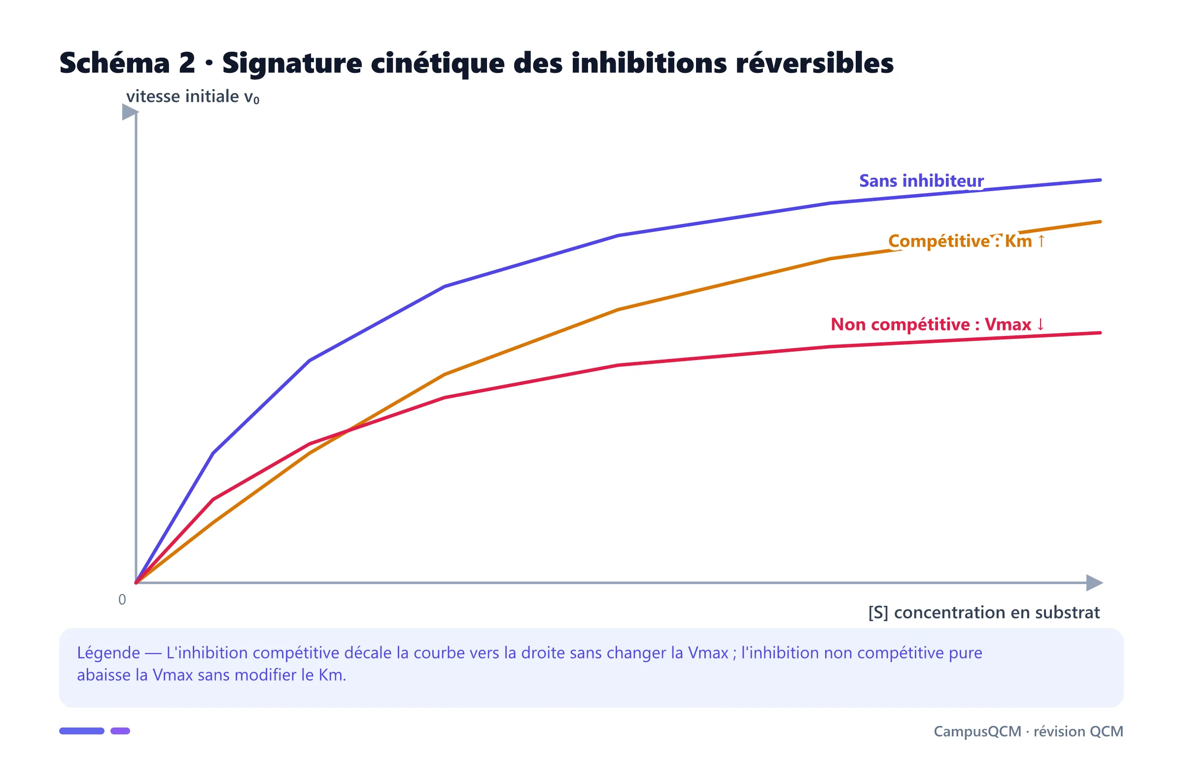 Courbes de Michaelis-Menten sans inhibiteur, avec inhibition compétitive et non compétitive.