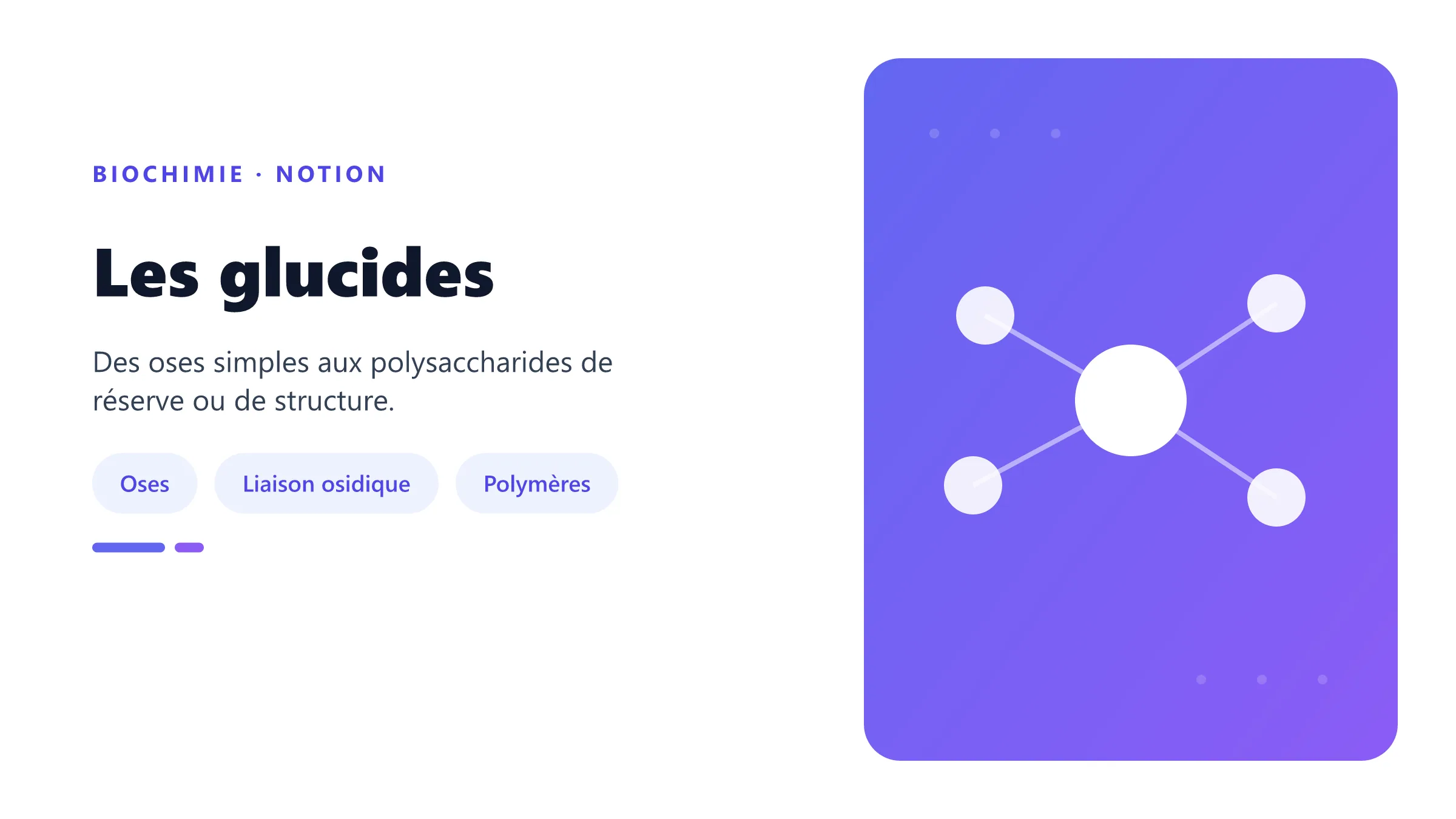 Classification biochimique des glucides.
