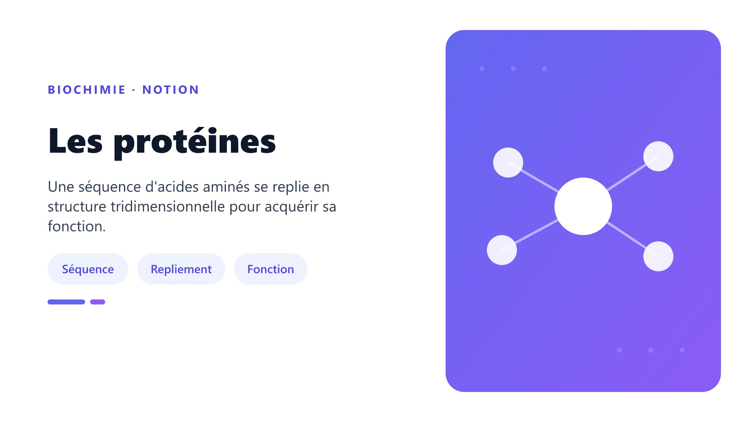 Niveaux de structure d'une protéine.
