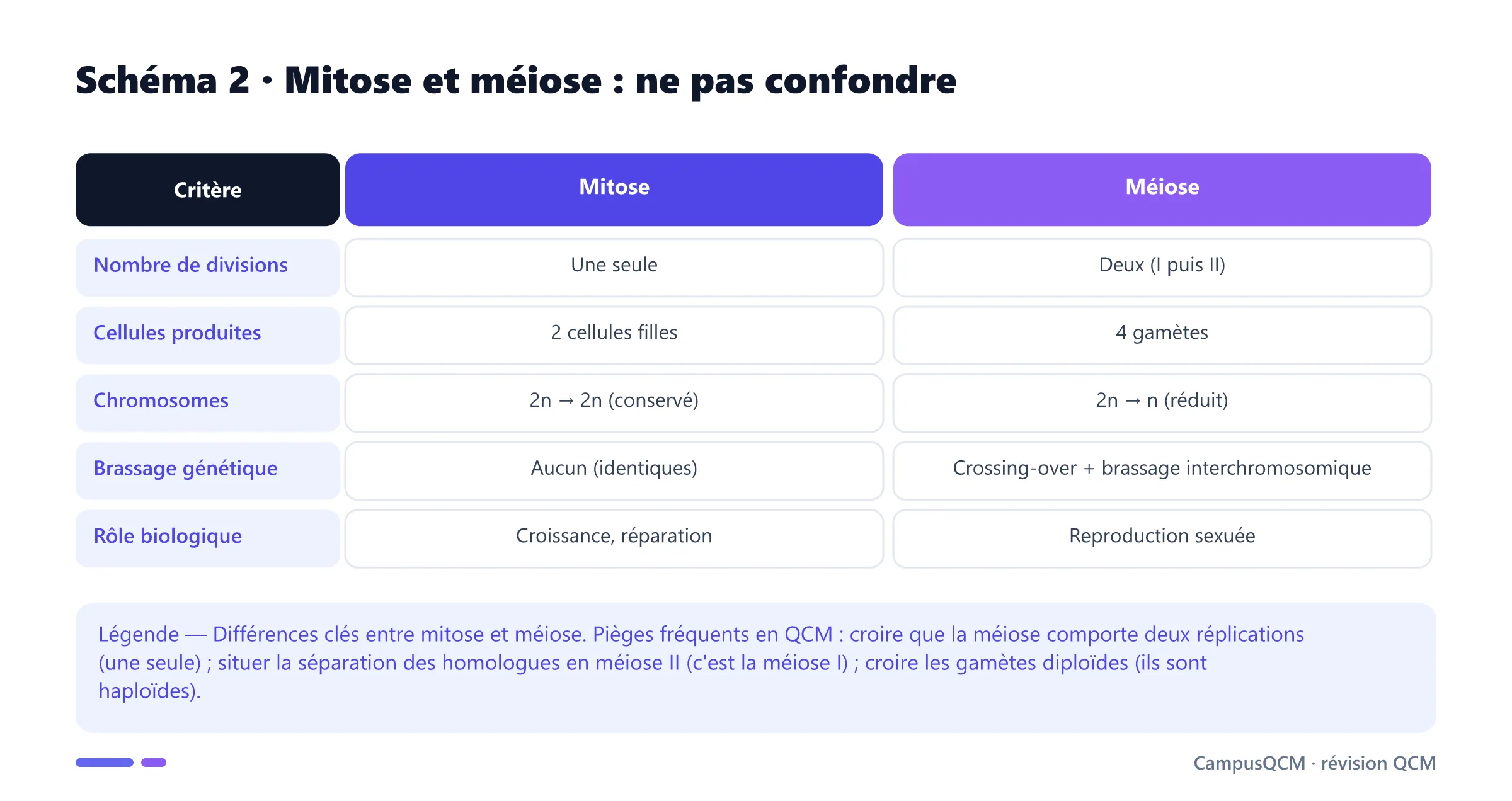 Tableau comparatif de la mitose et de la méiose selon le nombre de divisions, les cellules produites, le nombre de chromosomes, le brassage génétique et le rôle biologique.