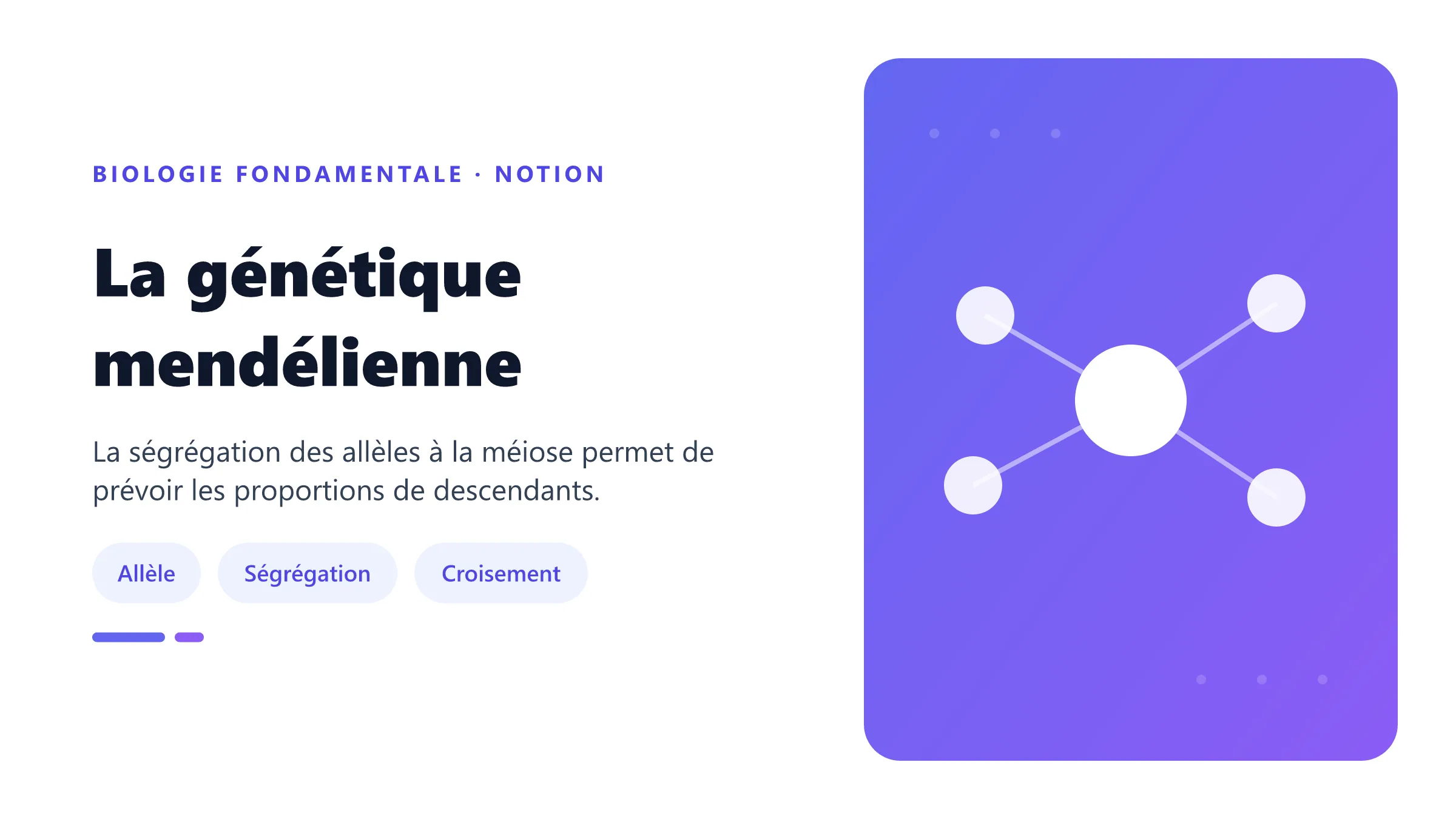La génétique mendélienne Transmission mendélienne d'un caractère par ségrégation des allèles et croisement monohybride Aa par Aa.