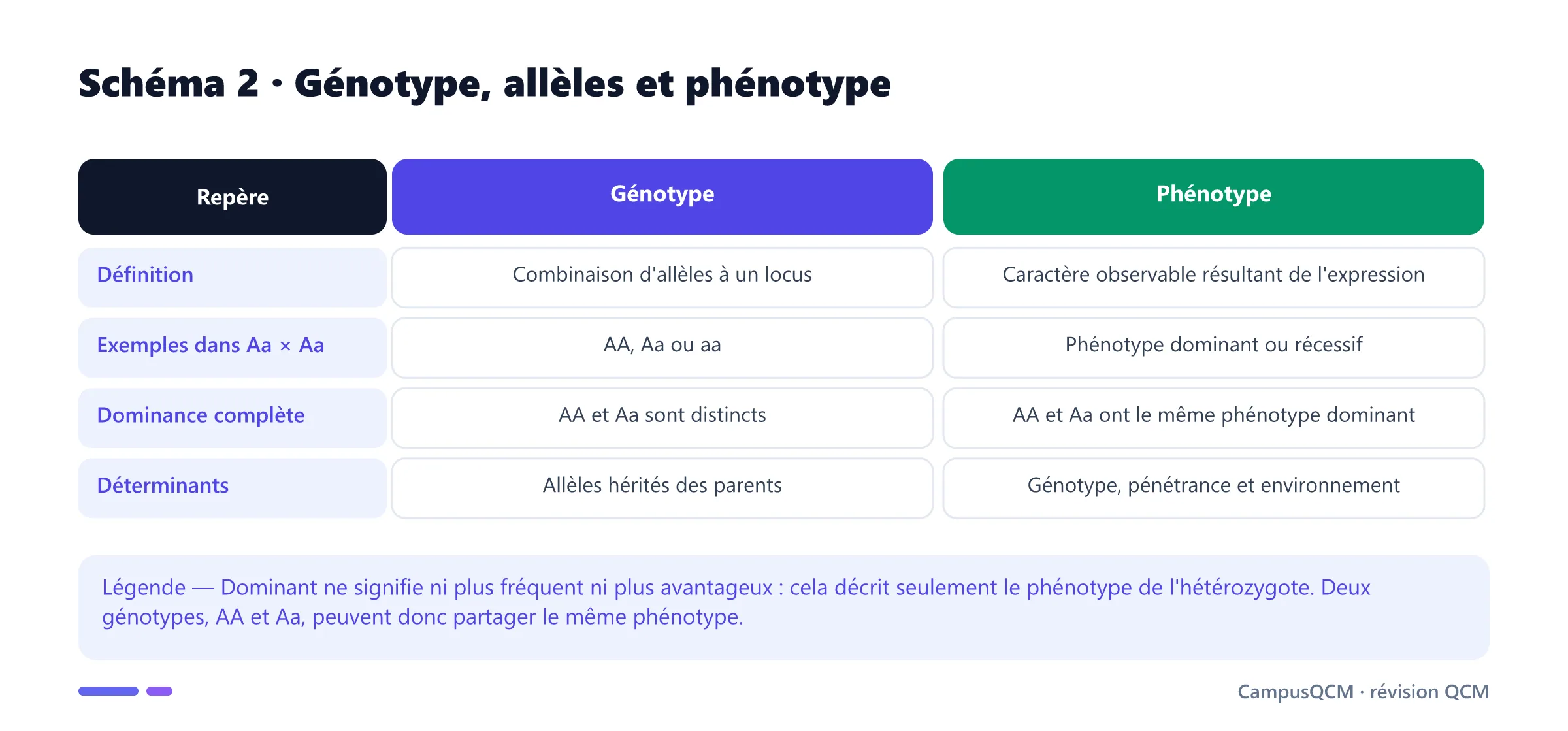 Tableau distinguant génotype et phénotype avec les génotypes AA, Aa et aa, la dominance complète et l'influence de l'environnement.