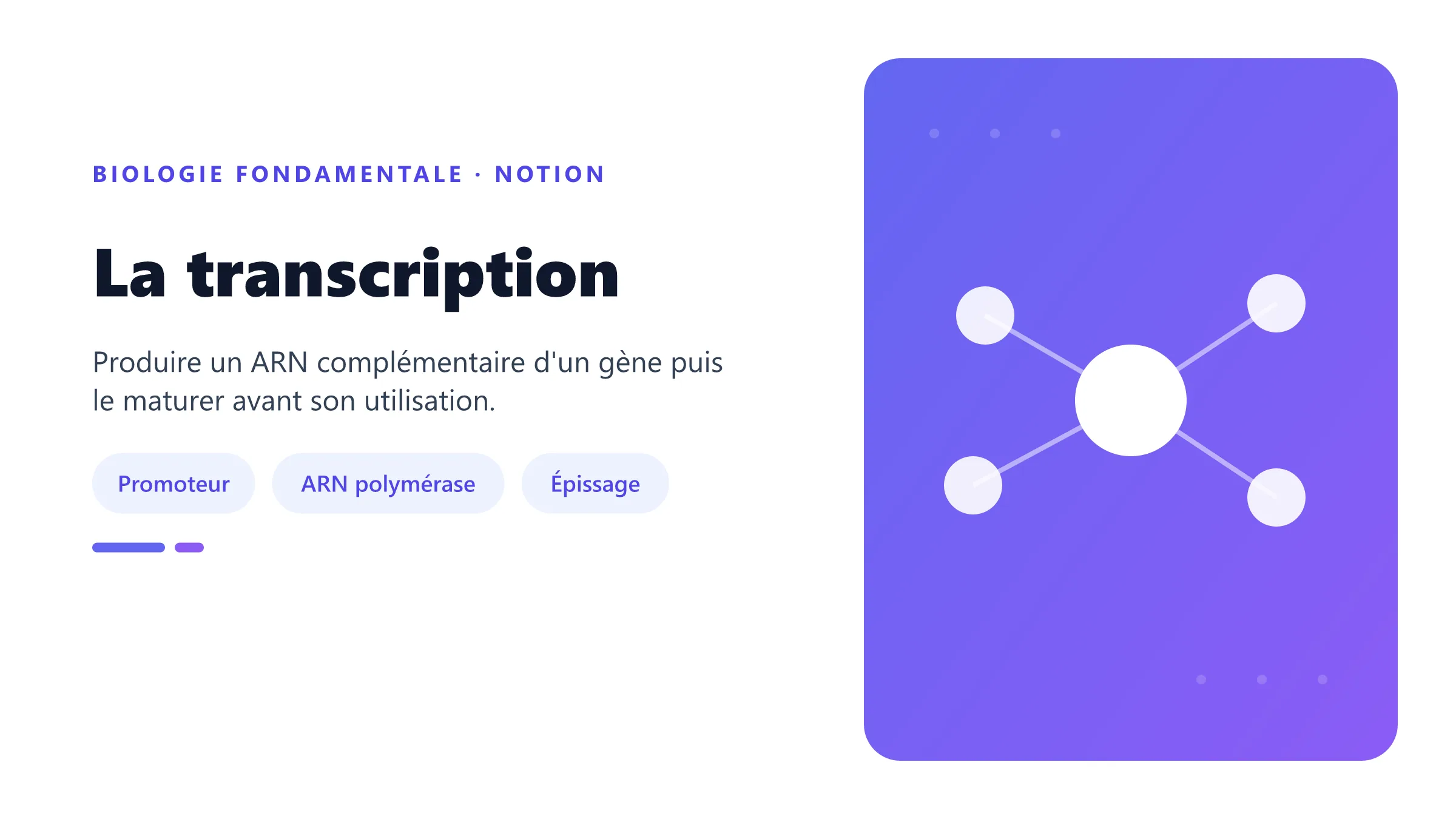 La transcription Transcription d'un gène d'ADN en pré-ARN messager puis maturation par coiffe, épissage et queue poly-A.