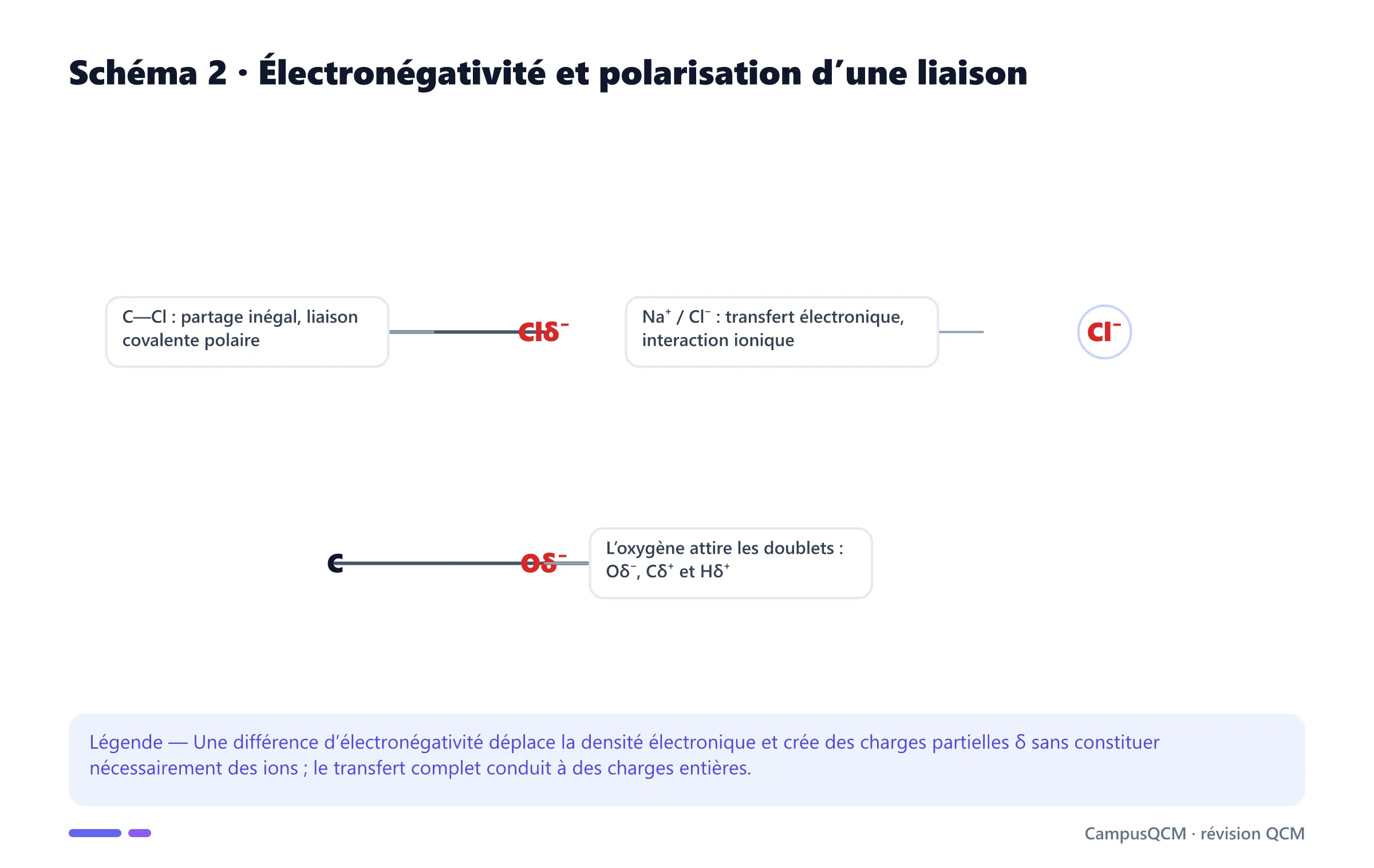 Liaisons C–Cl et C–O–H polarisées comparées aux ions sodium et chlorure.