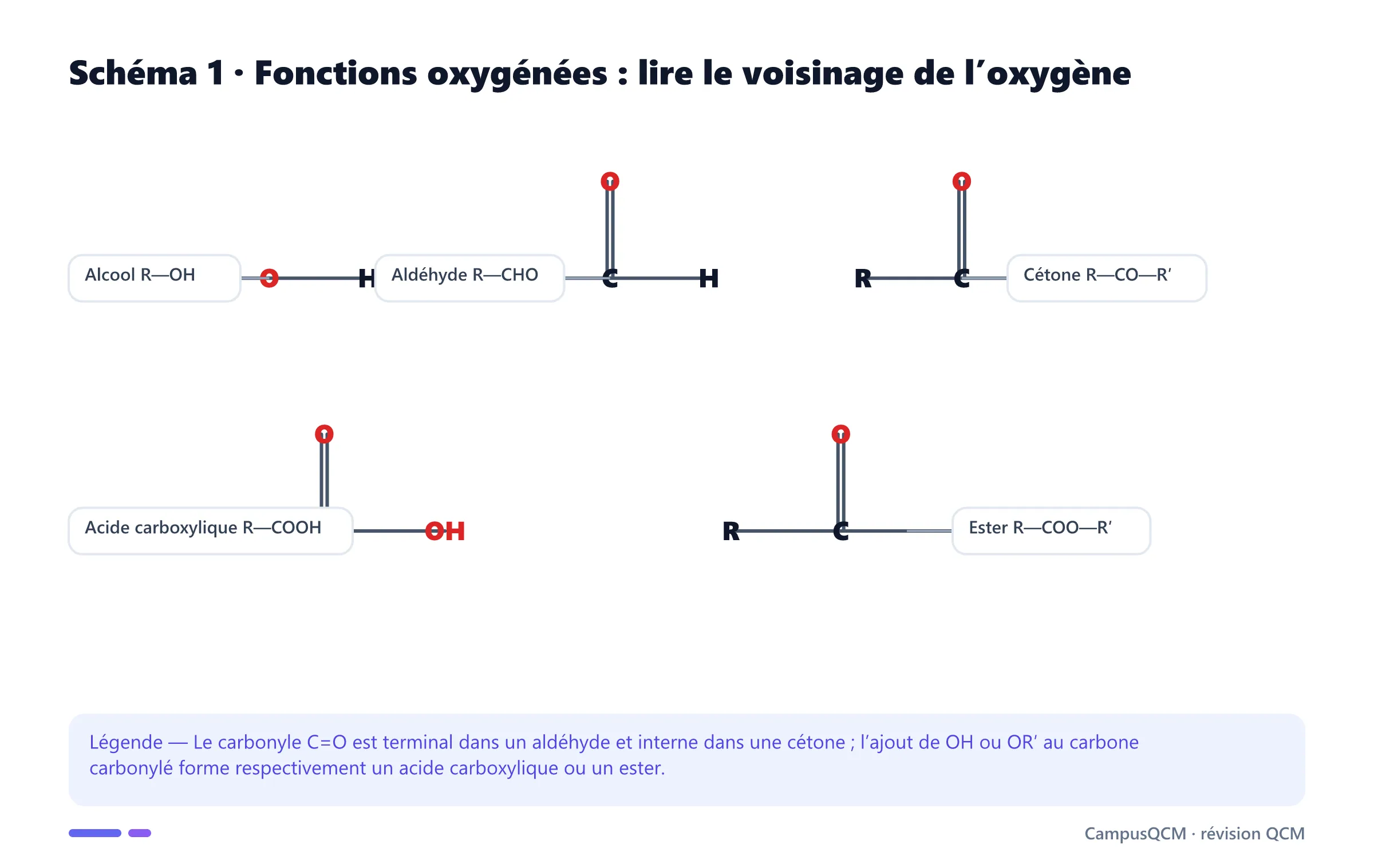 Formules structurales comparées d’un alcool, aldéhyde, cétone, acide carboxylique et ester.