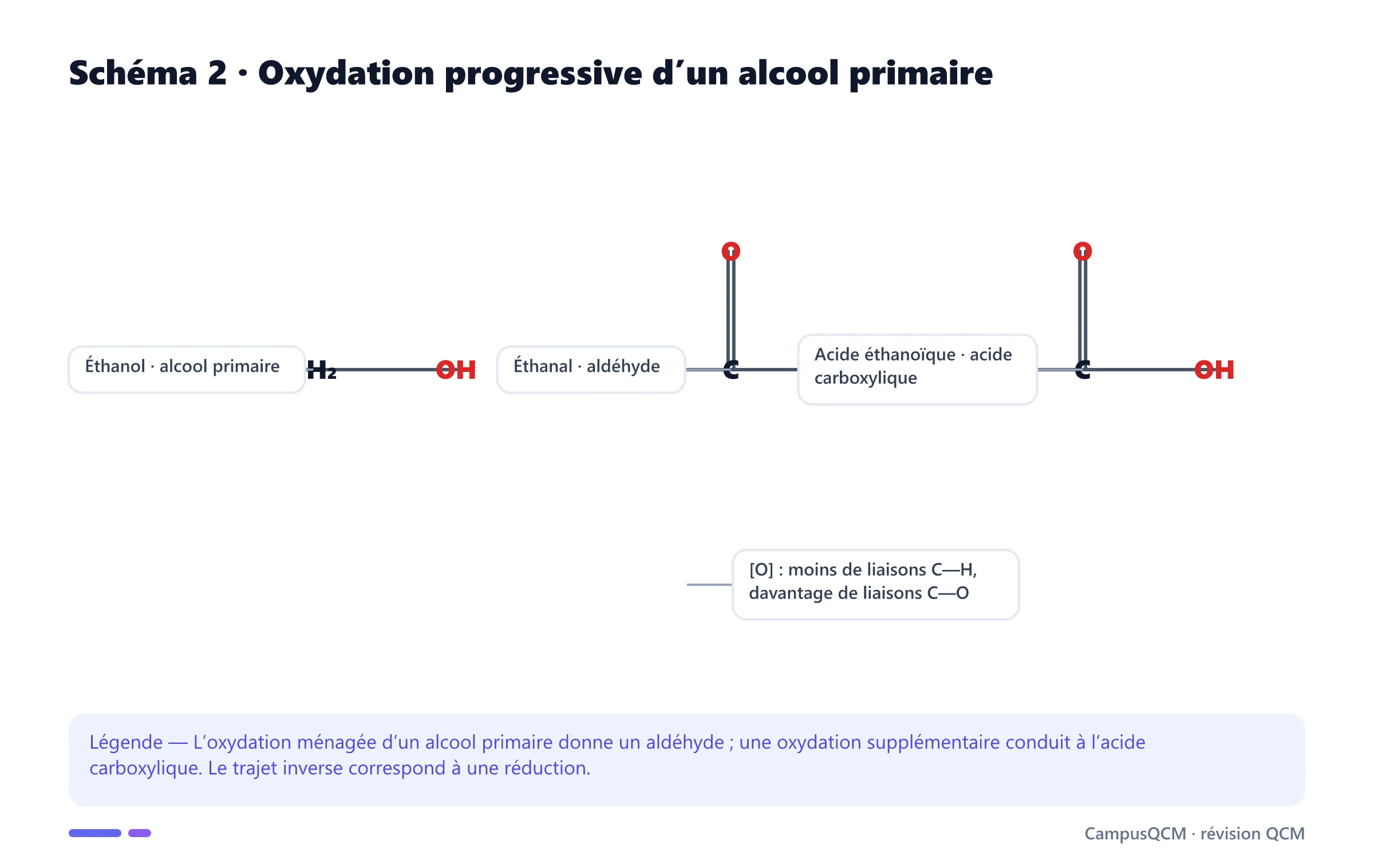 Formules structurales de l’éthanol, de l’éthanal et de l’acide éthanoïque au cours d’une oxydation progressive.