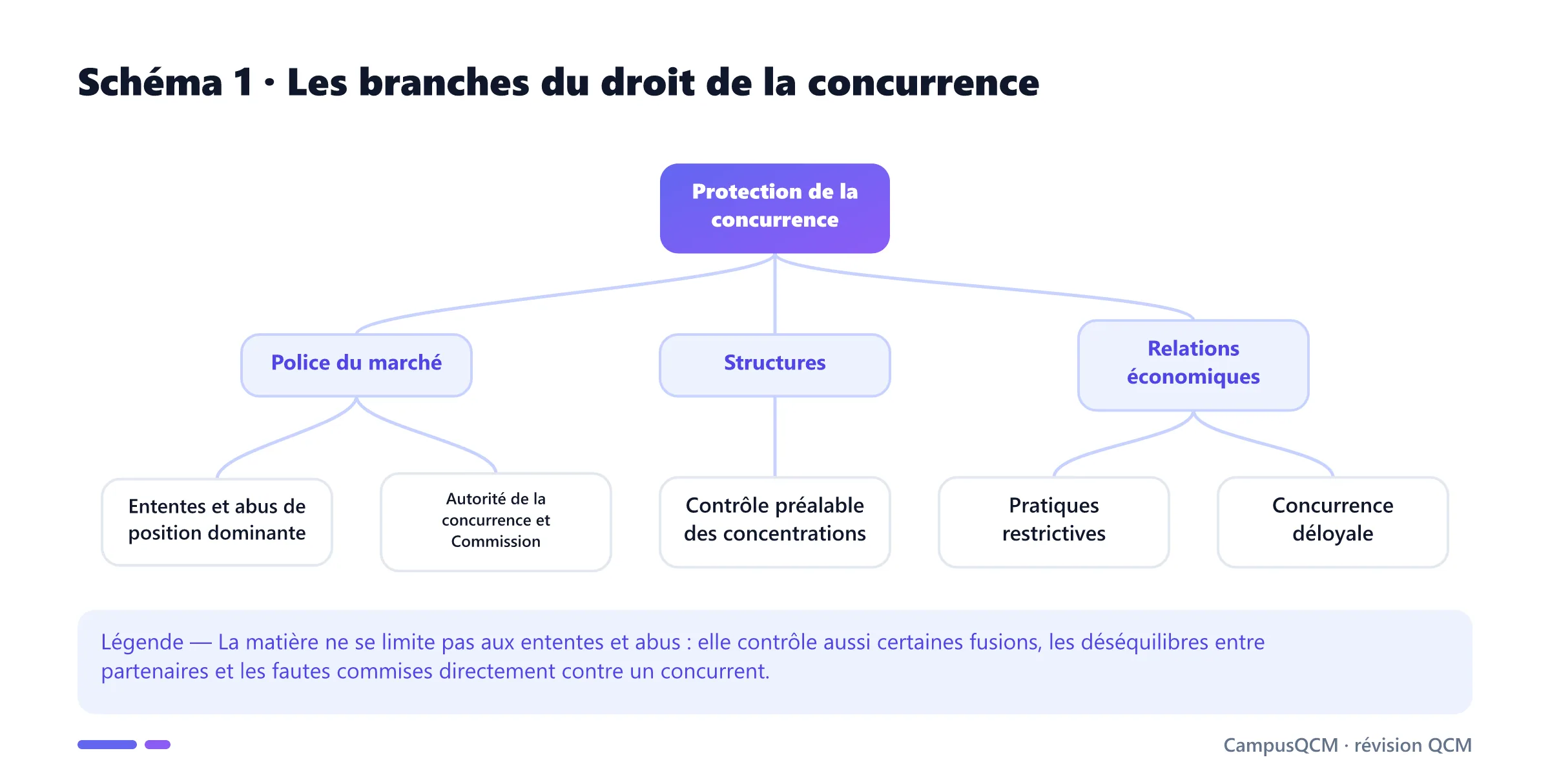 Arbre des branches du droit de la concurrence : police du marché, concentrations, pratiques restrictives et concurrence déloyale.
