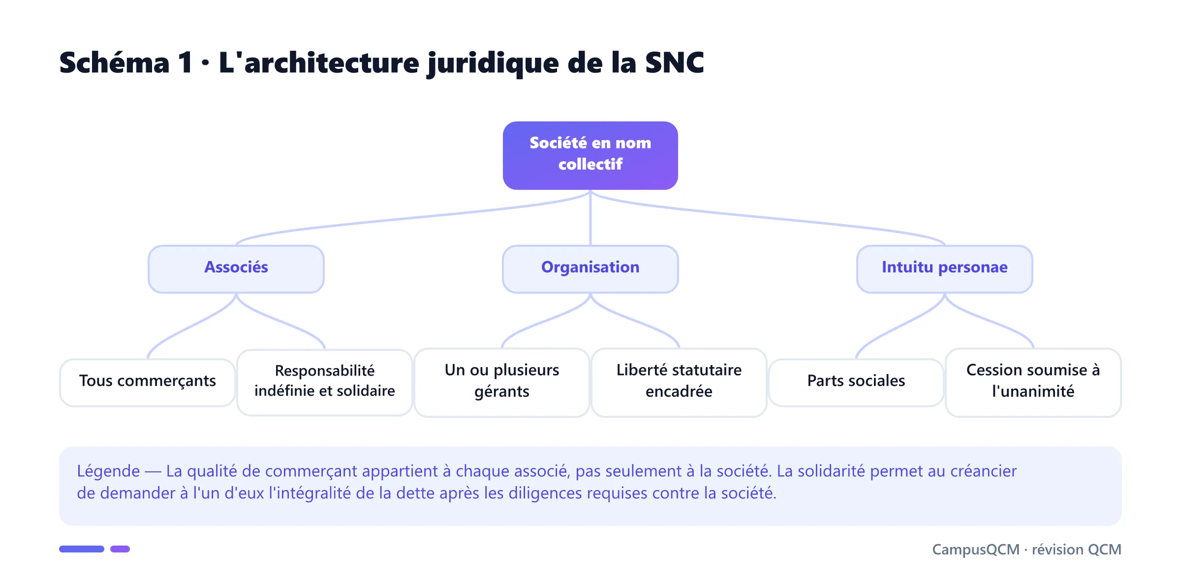 Arbre de la société en nom collectif reliant statut des associés, responsabilité, gérance et cession unanime des parts.