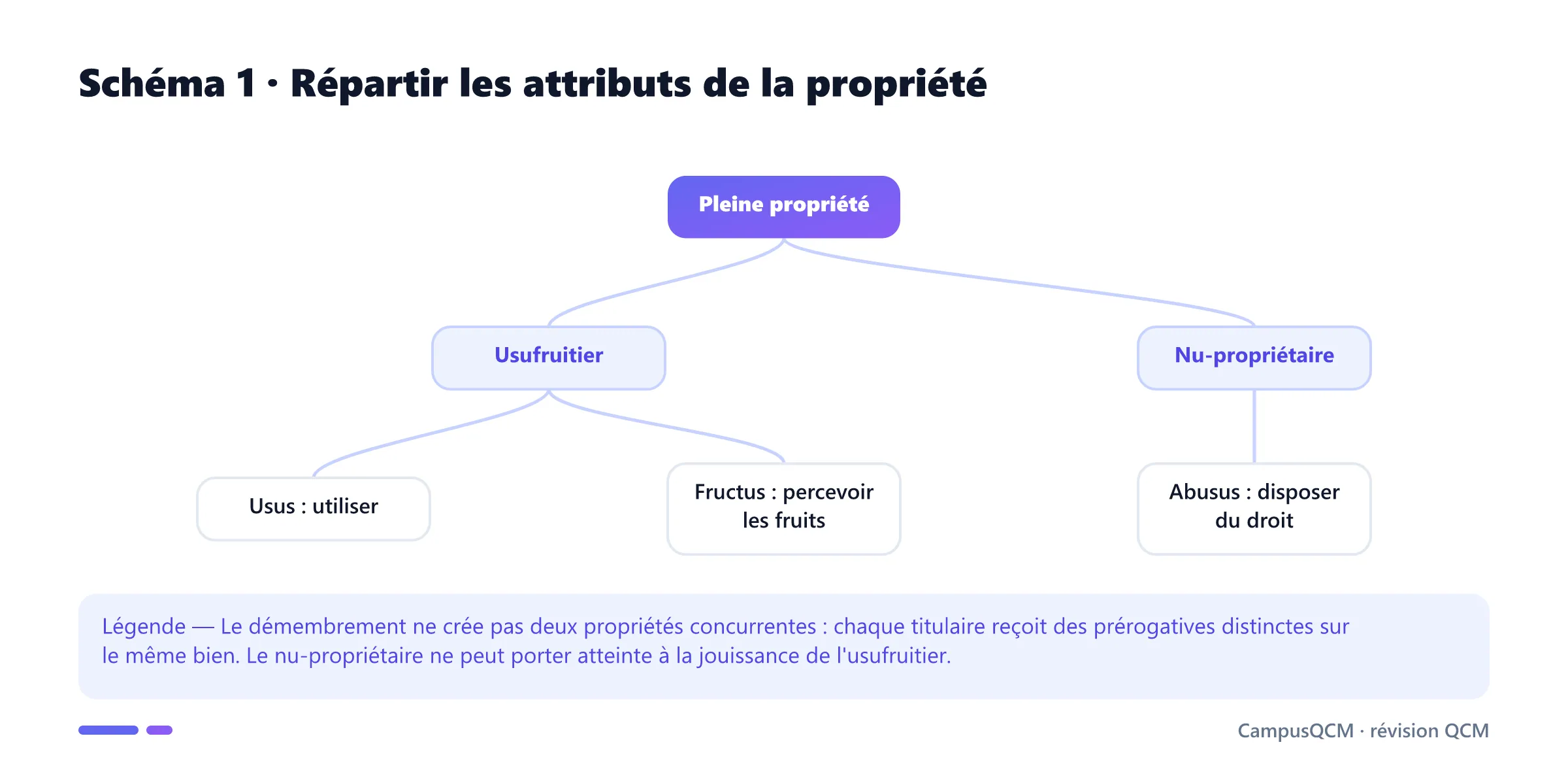 Arbre répartissant usus et fructus à l'usufruitier et abusus au nu-propriétaire.