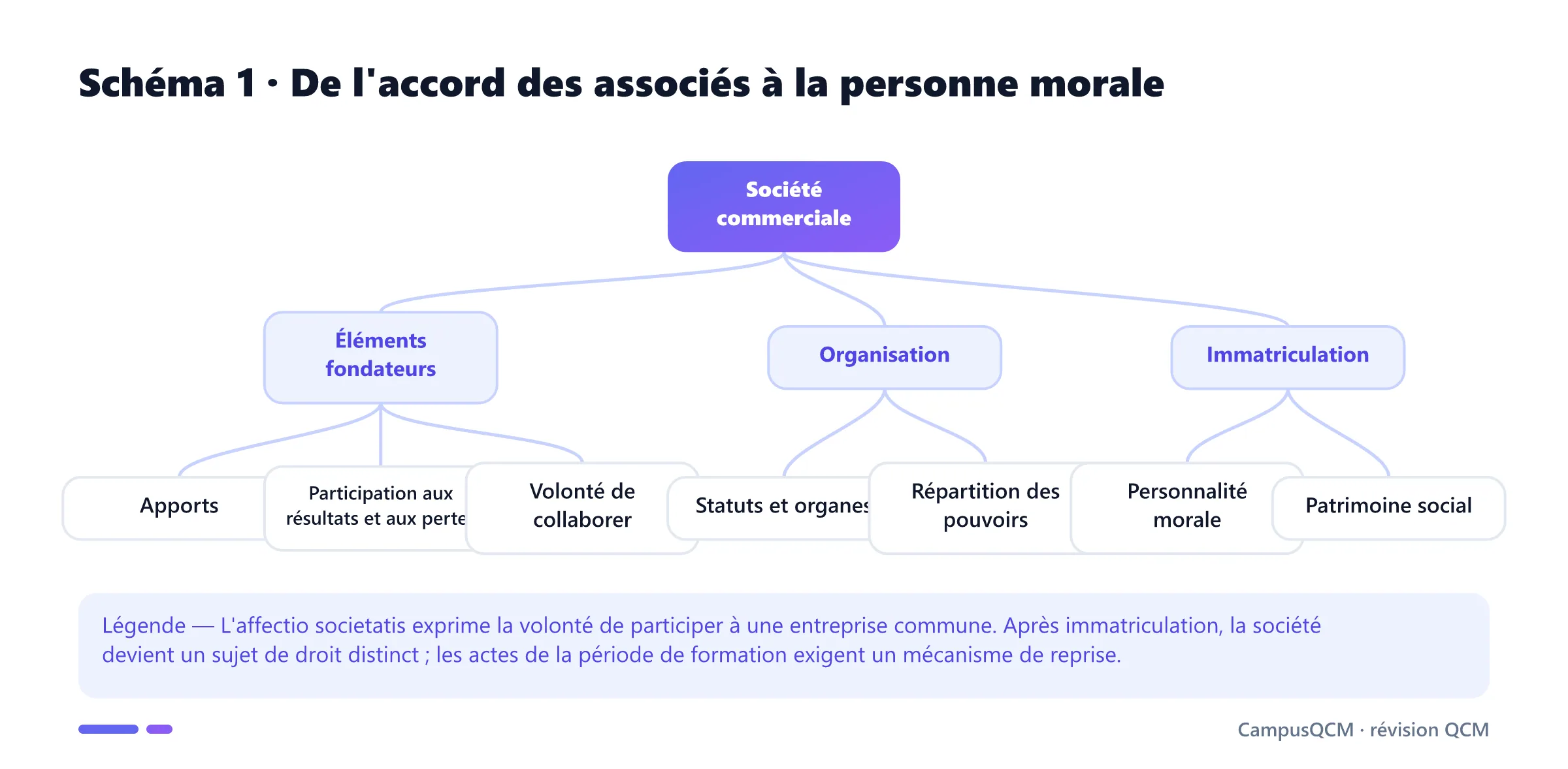 Arbre de constitution de la société commerciale : apports, résultats, organisation statutaire, immatriculation et personnalité morale.
