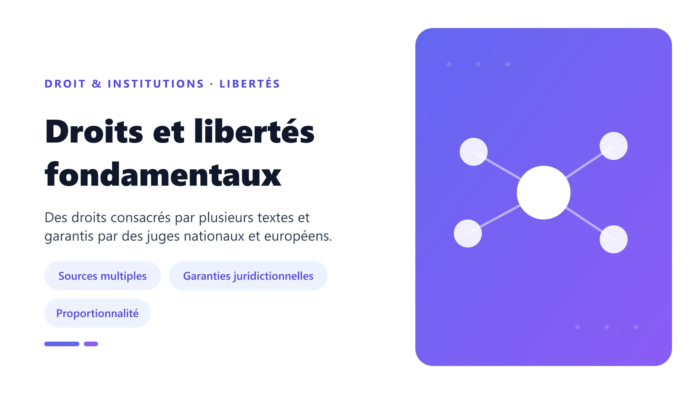 Droits fondamentaux protégés par la Constitution, la loi, le droit de l'Union européenne et la Convention européenne des droits de l'homme.