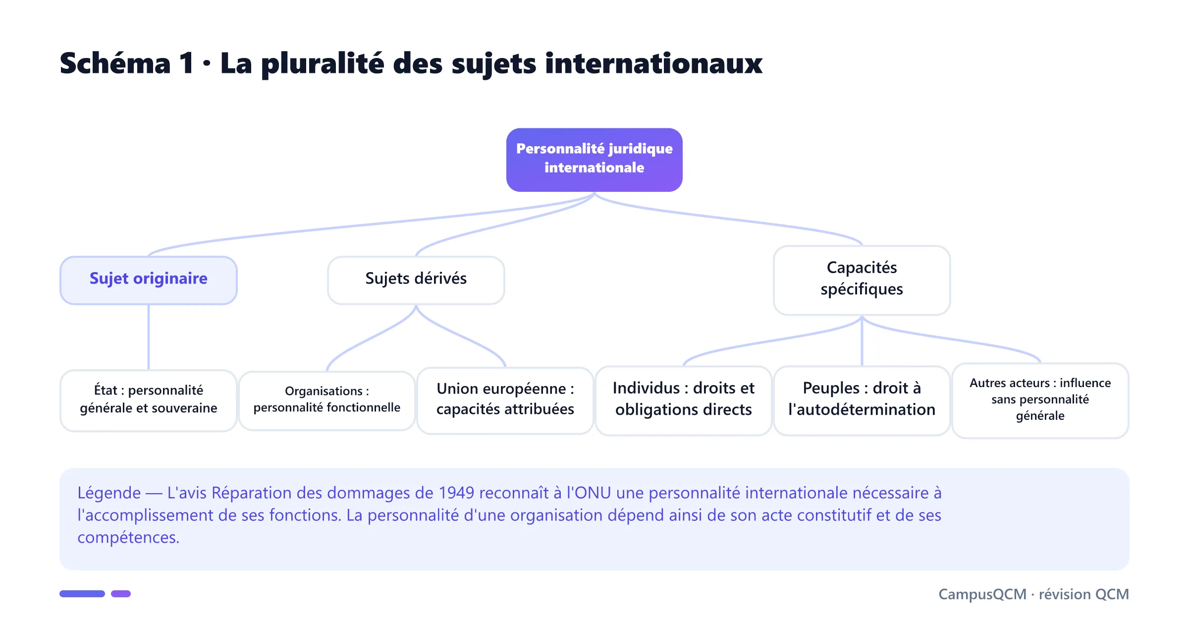 Arbre des sujets du droit international distinguant État originaire, organisations dérivées et entités à capacités spécifiques.