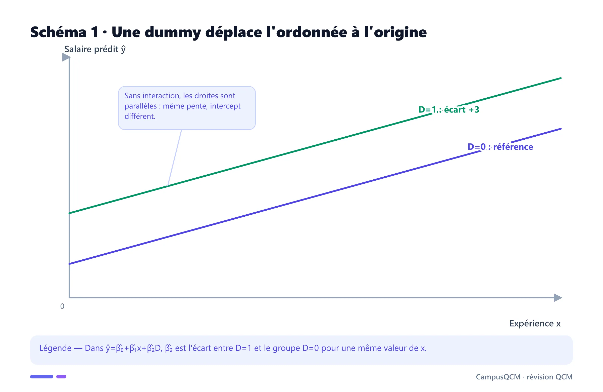 Graphique de deux droites parallèles montrant qu'une variable dummy déplace l'ordonnée à l'origine de trois unités.