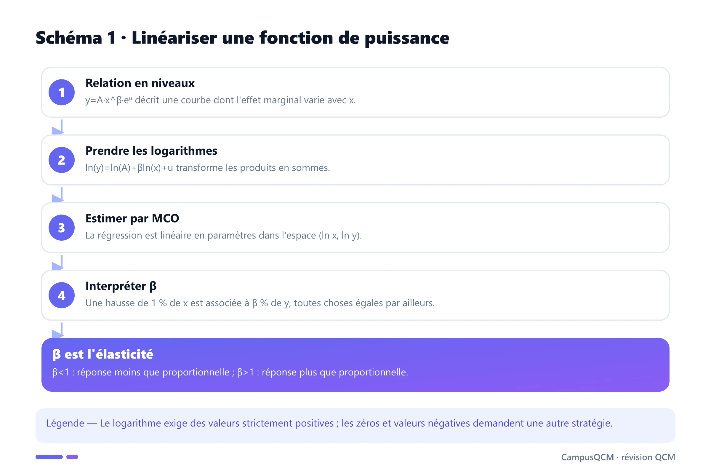 Processus transformant une fonction de puissance en modèle linéaire log-log puis interprétant beta comme une élasticité.