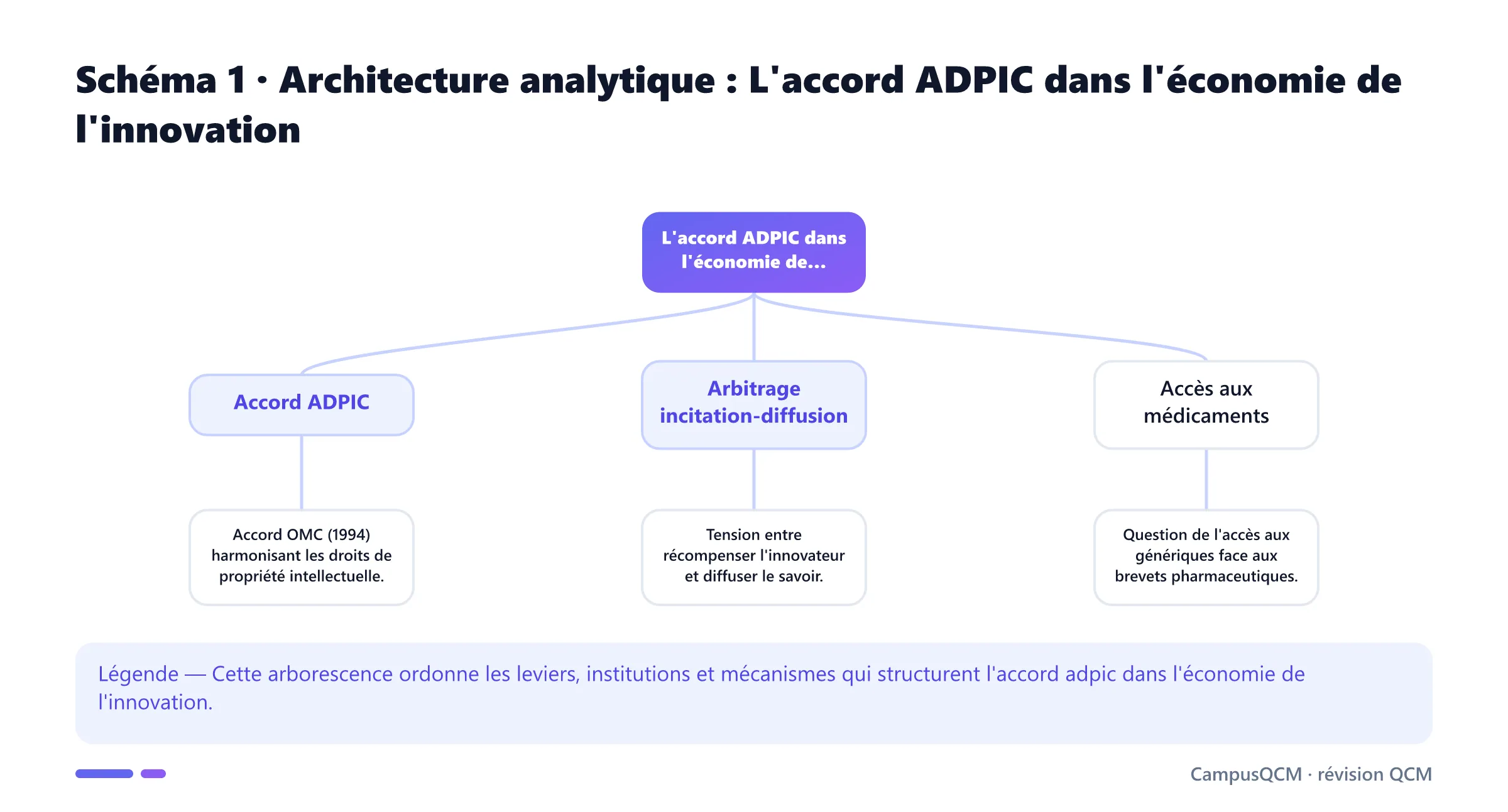 Arbre analytique des composantes de l'accord adpic dans l'économie de l'innovation.