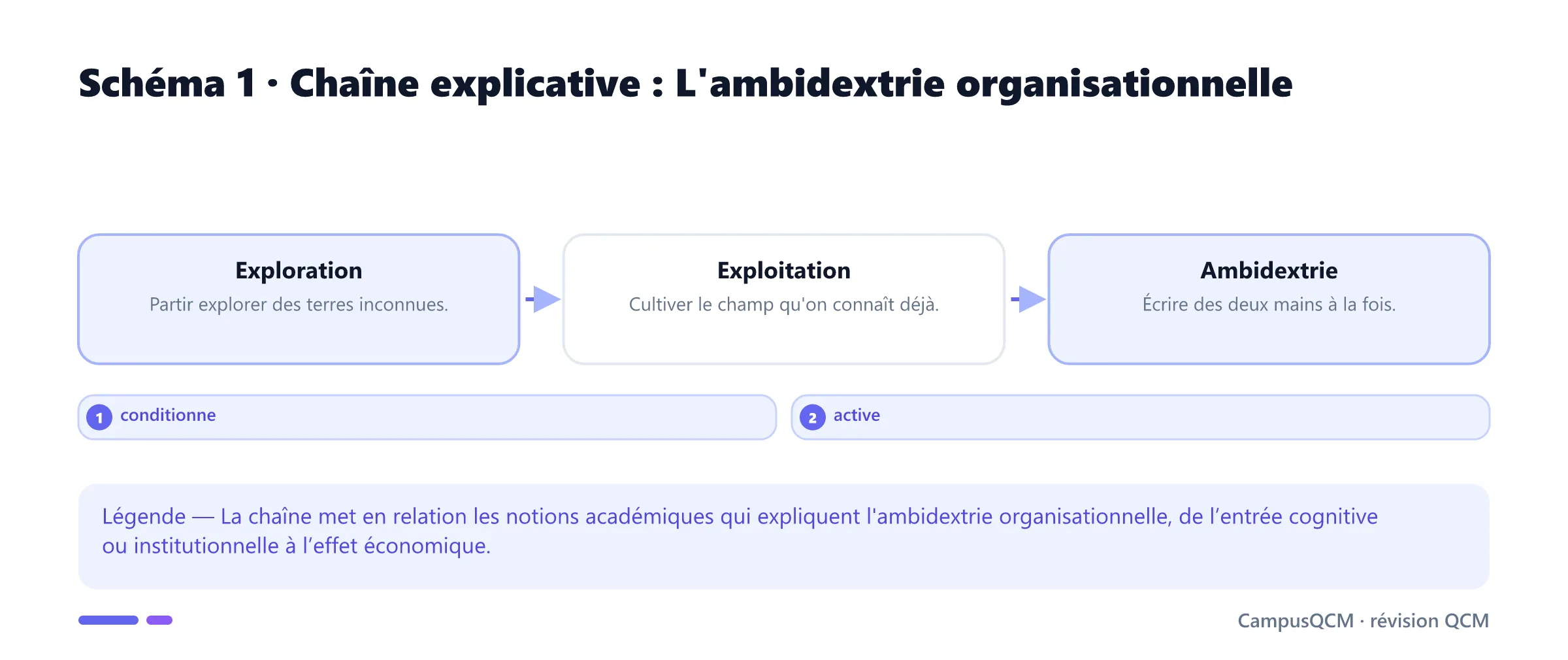 Chaîne causale des mécanismes de l'ambidextrie organisationnelle.
