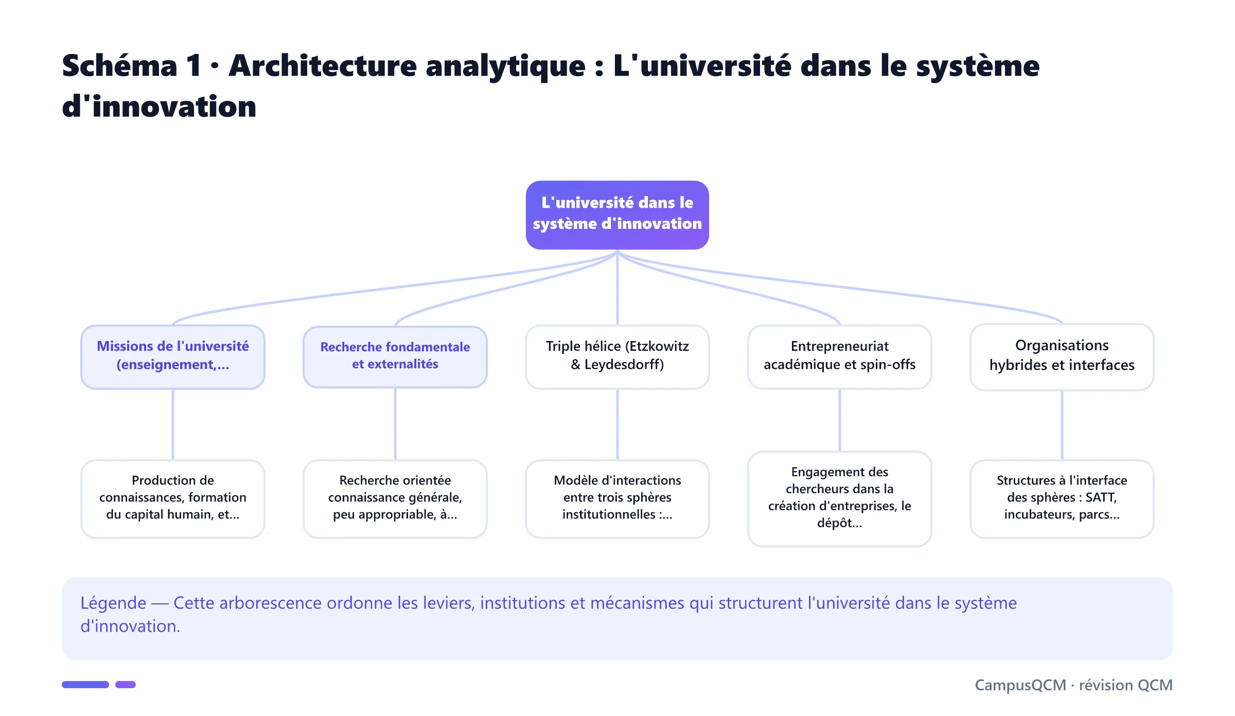 Arbre analytique des composantes de l'université dans le système d'innovation.