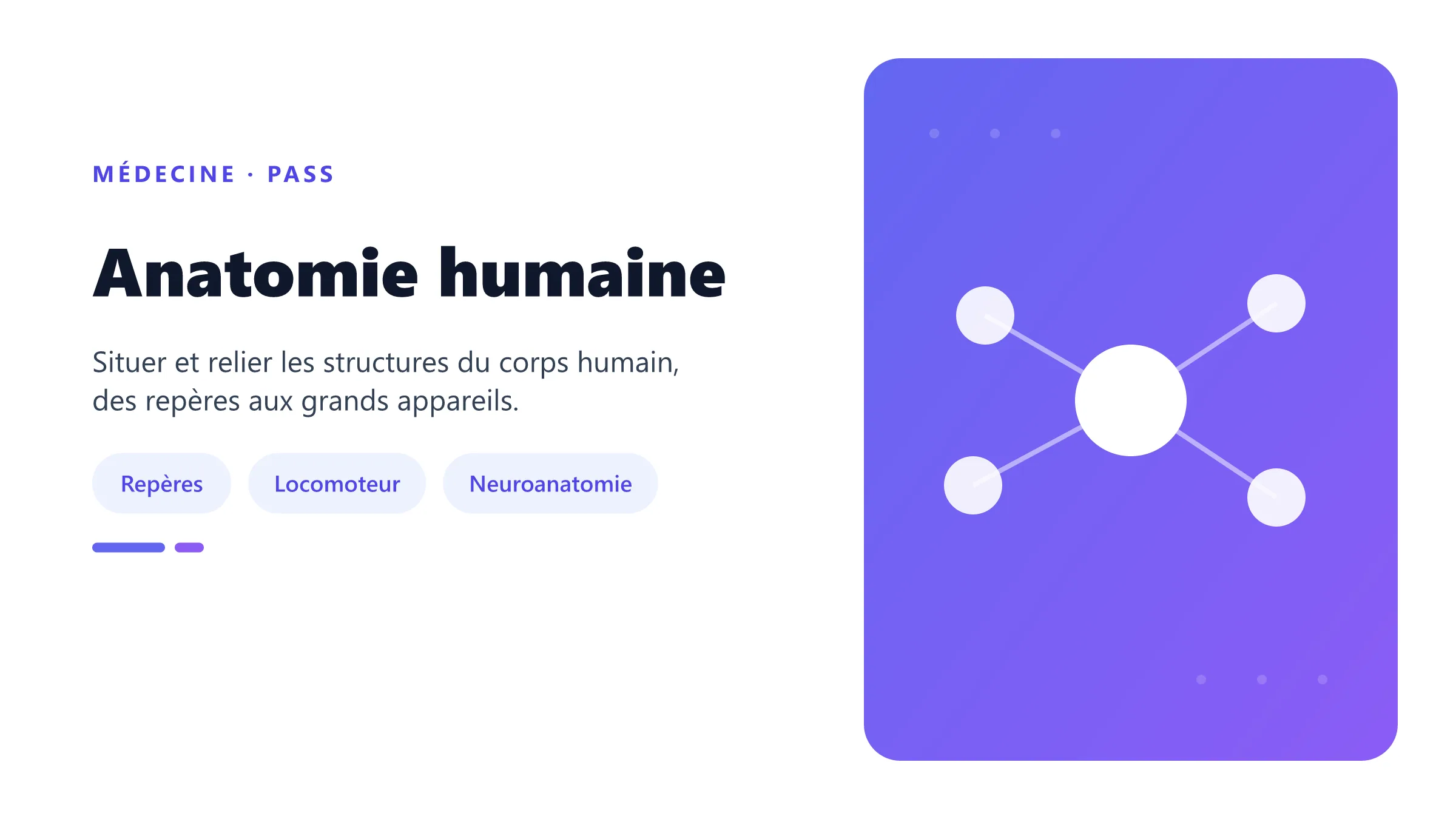 Anatomie humaine Cours illustré d’anatomie humaine en PASS.