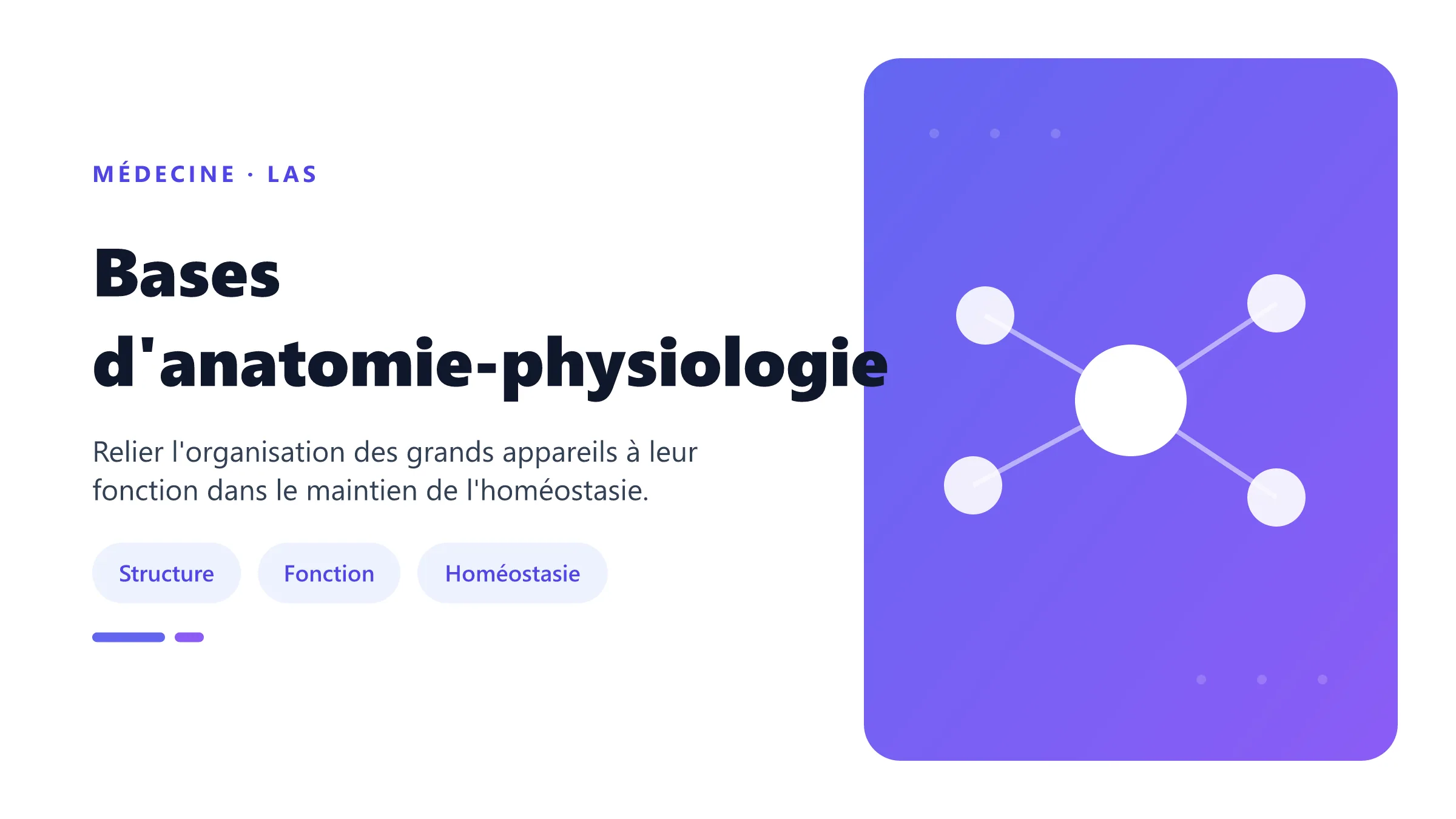 Bases d'anatomie-physiologie Carte fonctionnelle des grands appareils du corps humain étudiés en LAS.