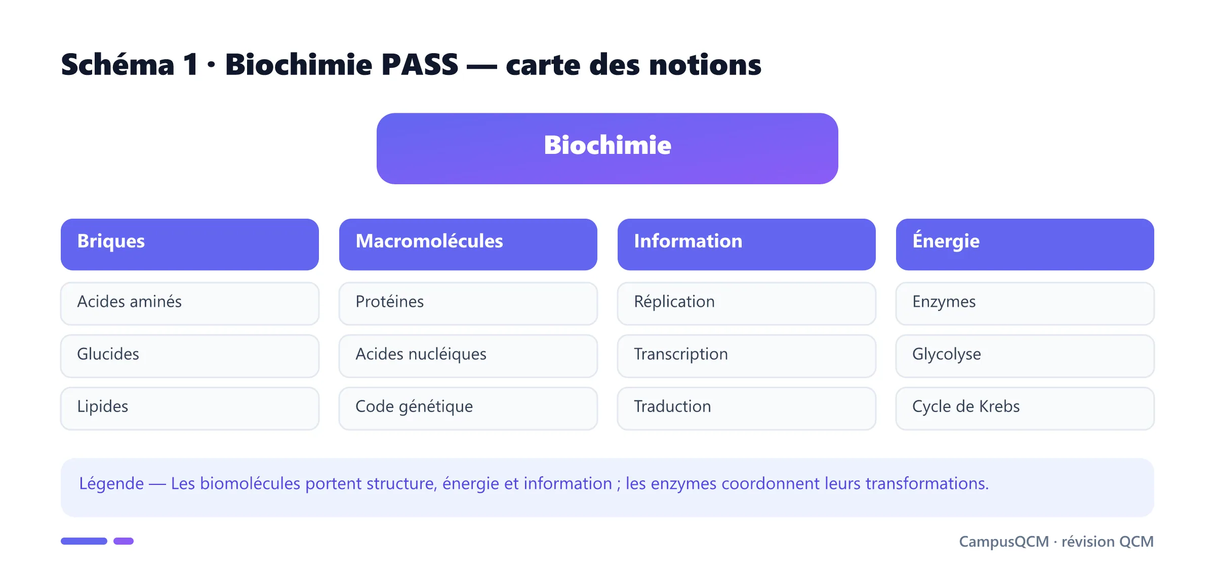 Carte des notions de biochimie PASS.