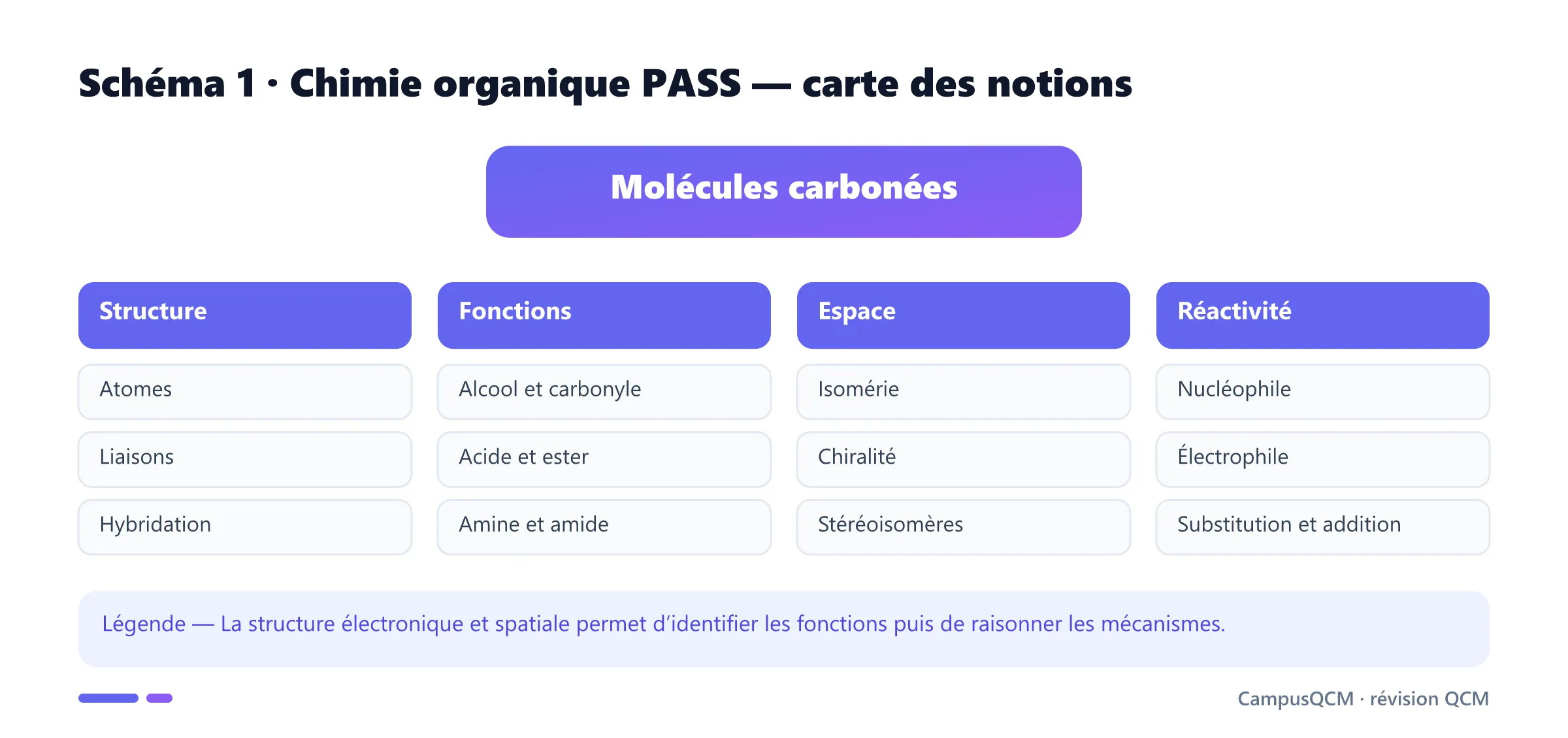 Carte académique reliant structure, fonctions, stéréochimie et réactivité en chimie organique PASS.