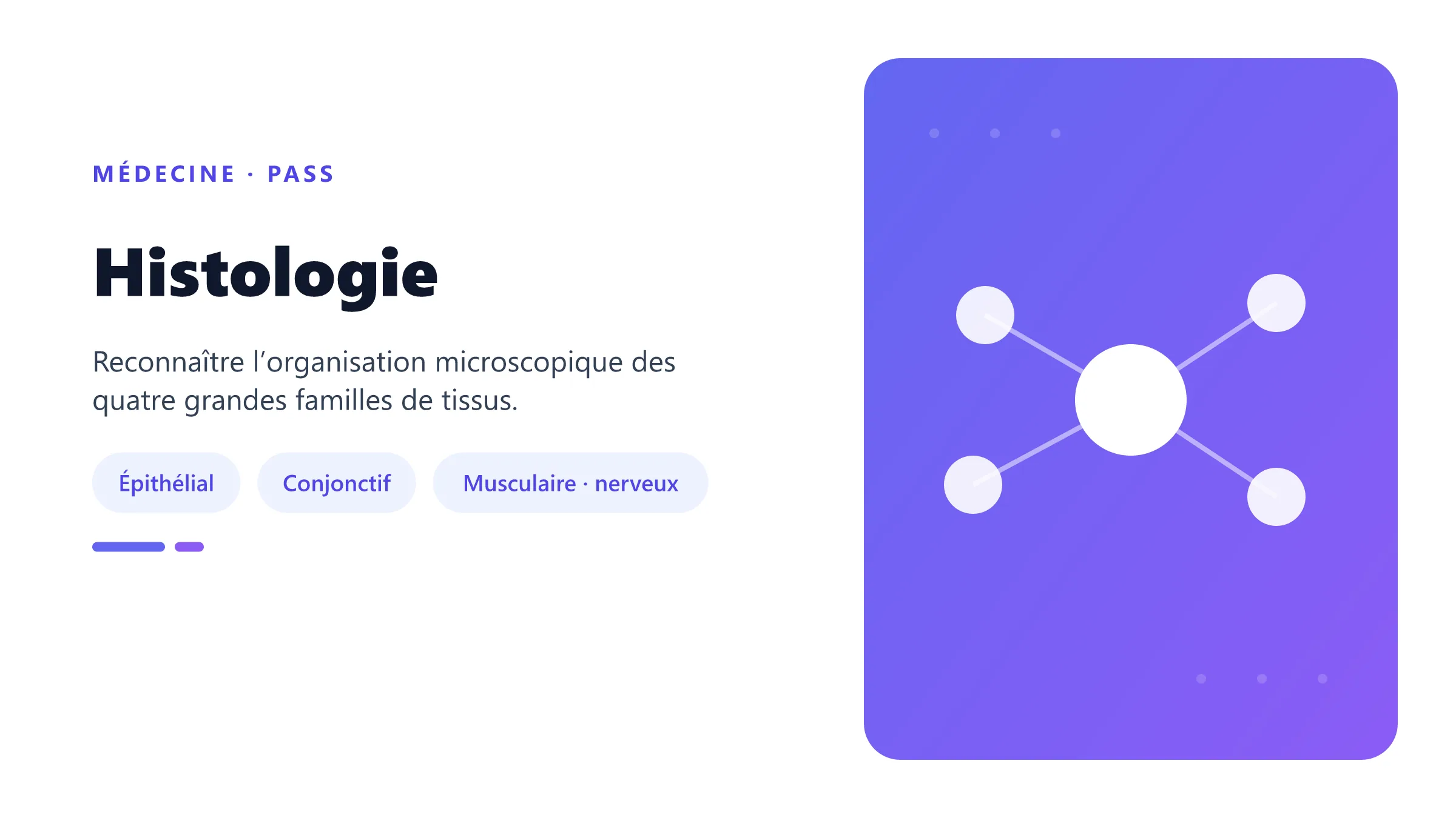 Histologie Vue pédagogique des quatre tissus fondamentaux étudiés en histologie PASS.