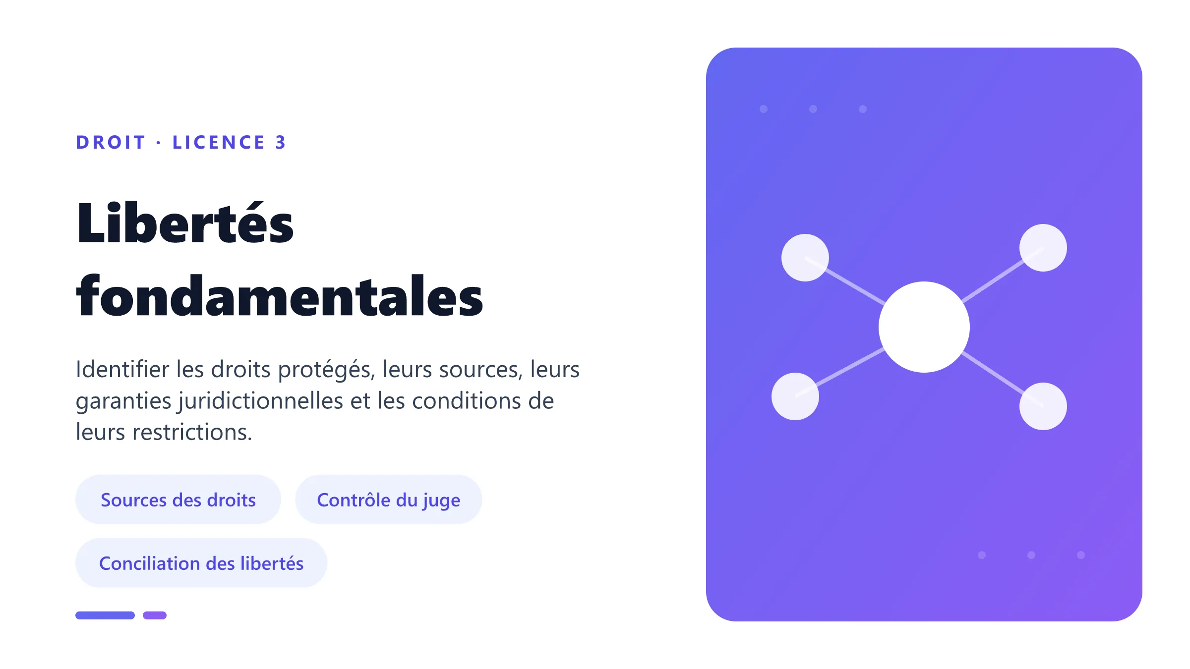 Illustration des libertés fondamentales : sources constitutionnelles et européennes, garanties juridictionnelles et contrôle des restrictions.