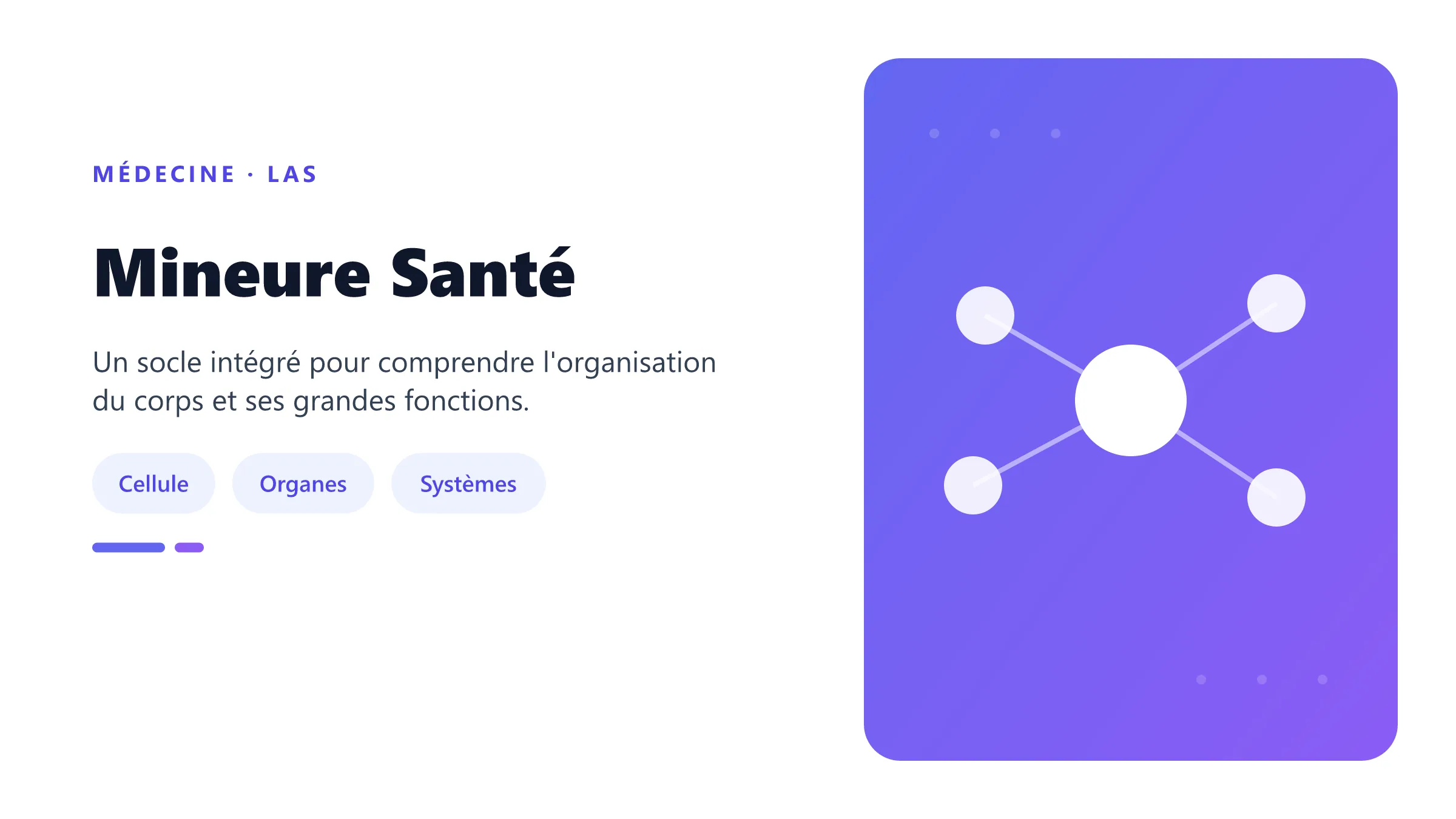 Mineure Santé Organisation du corps humain et grandes fonctions étudiées en mineure santé LAS.