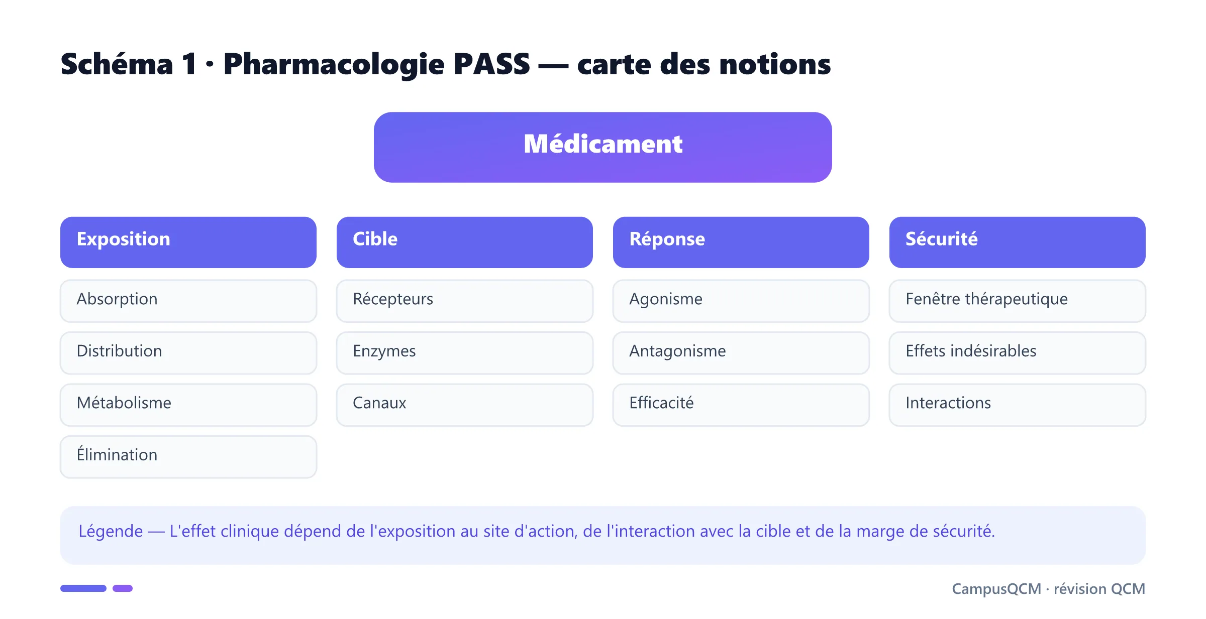 Carte des notions de pharmacologie PASS organisée entre exposition, cible, réponse et sécurité.