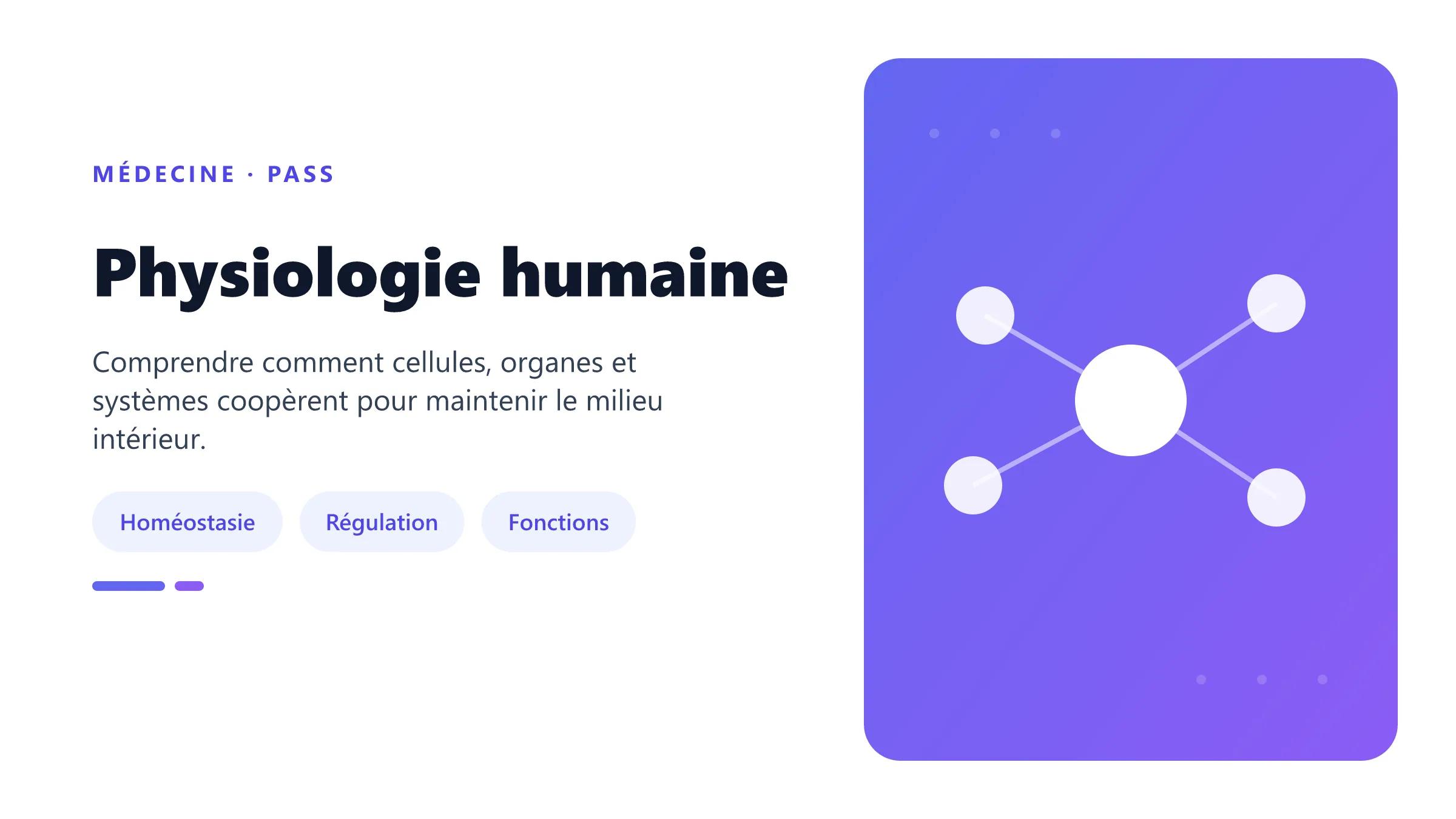 Grandes fonctions de physiologie humaine en PASS.