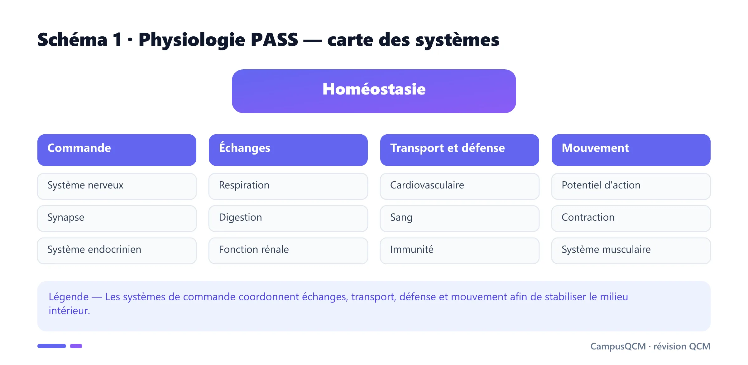 Carte des systèmes de physiologie humaine étudiés en PASS.