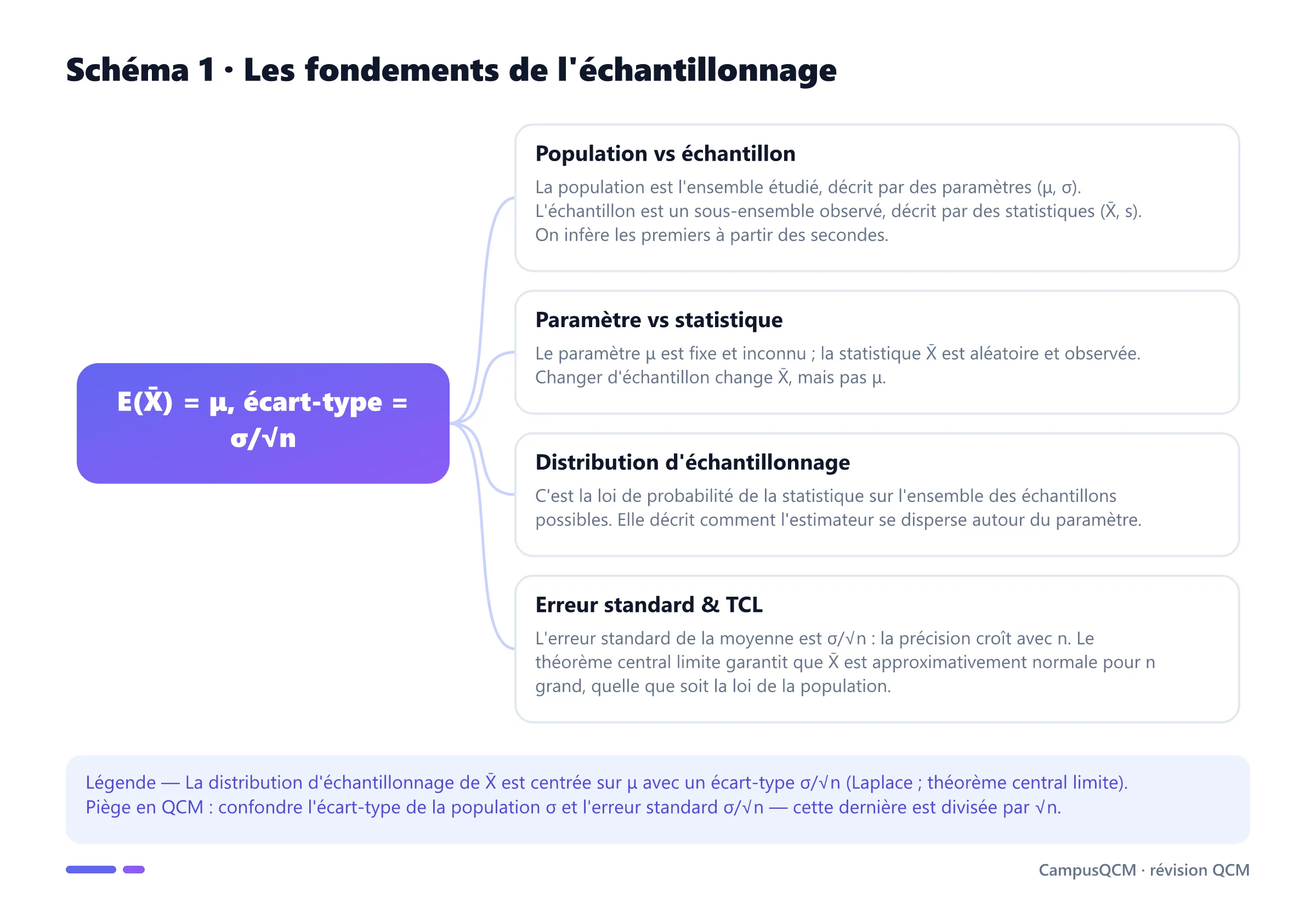 Schéma conceptuel de l'échantillonnage : population vs échantillon, paramètre vs statistique, distribution d'échantillonnage, erreur standard σ/√n et TCL.