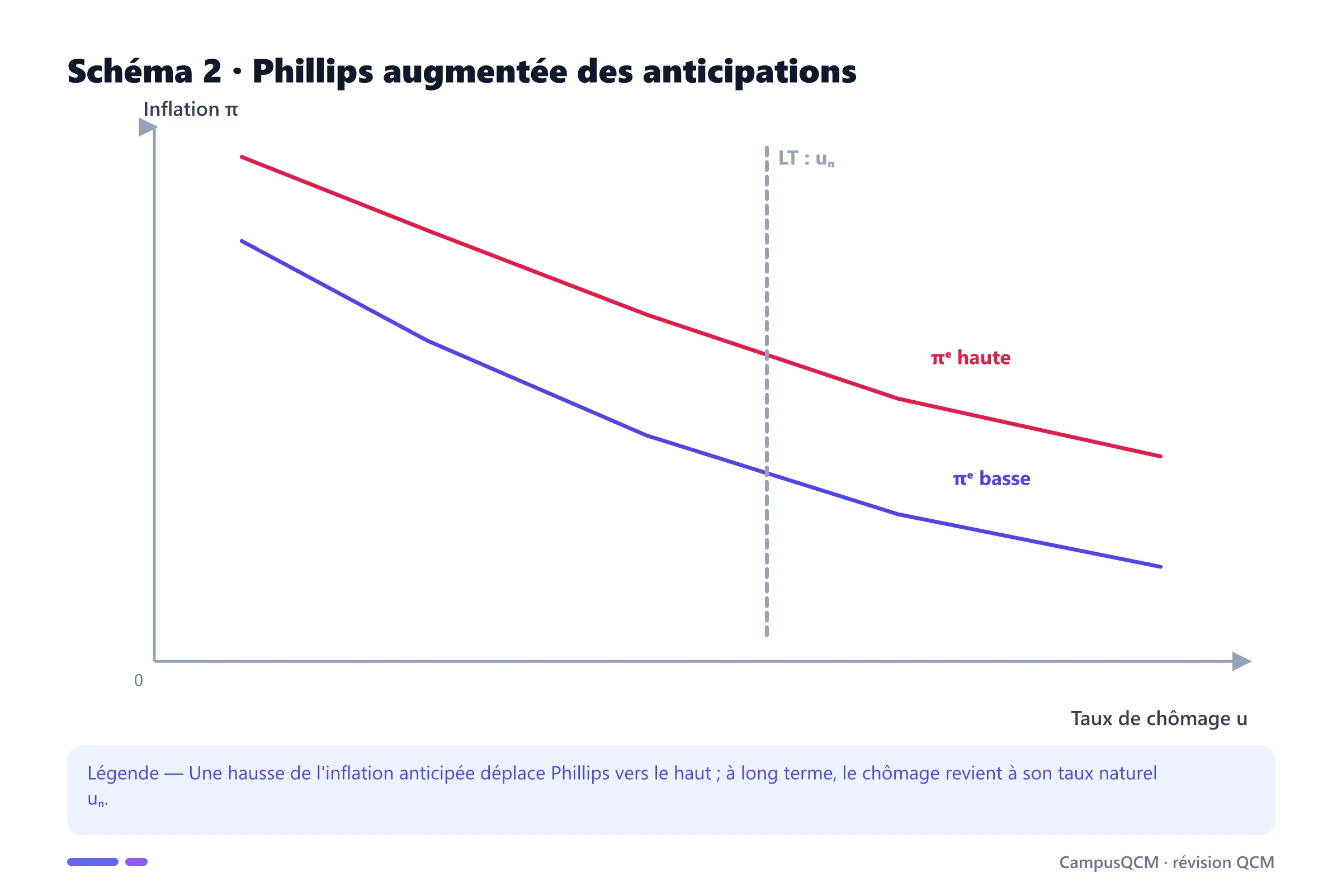 Courbes de Phillips de court terme selon l'inflation anticipée et courbe verticale de long terme.