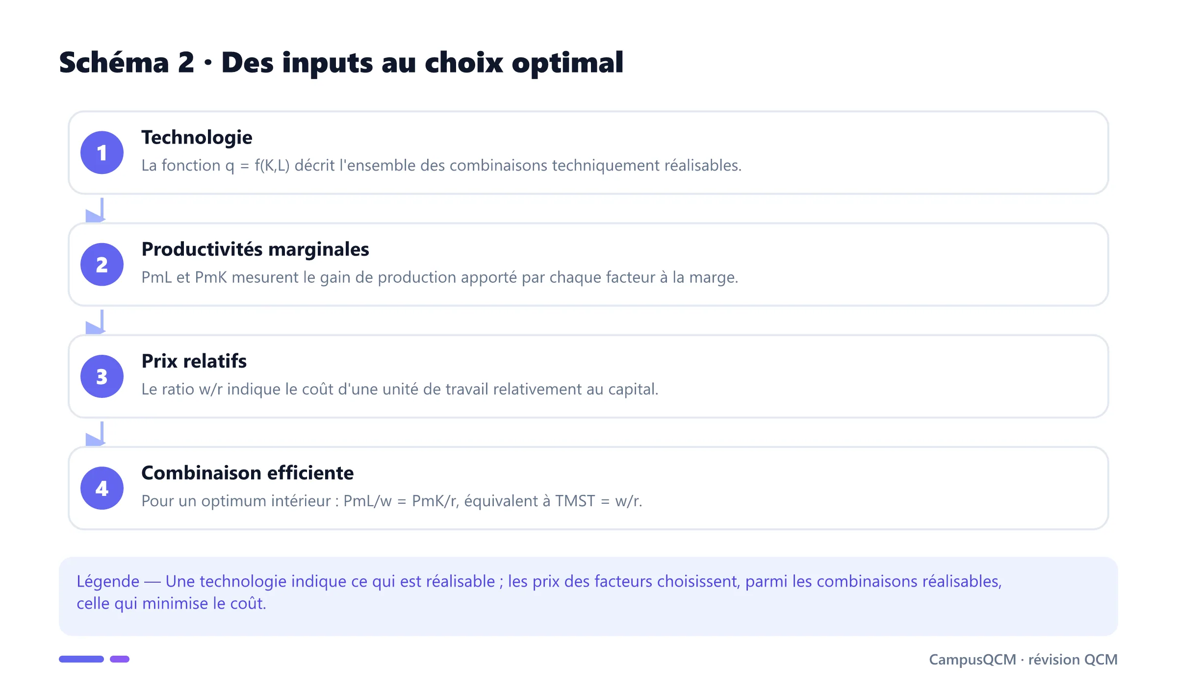Chaîne reliant technologie, productivités marginales, prix relatifs et combinaison optimale des facteurs.