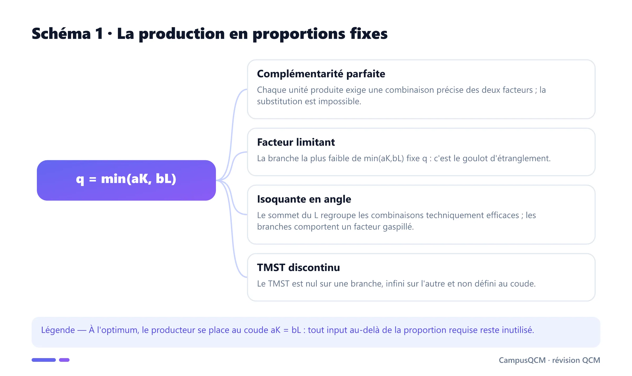 Carte conceptuelle de la fonction de Leontief, du facteur limitant et des isoquantes en angle droit.