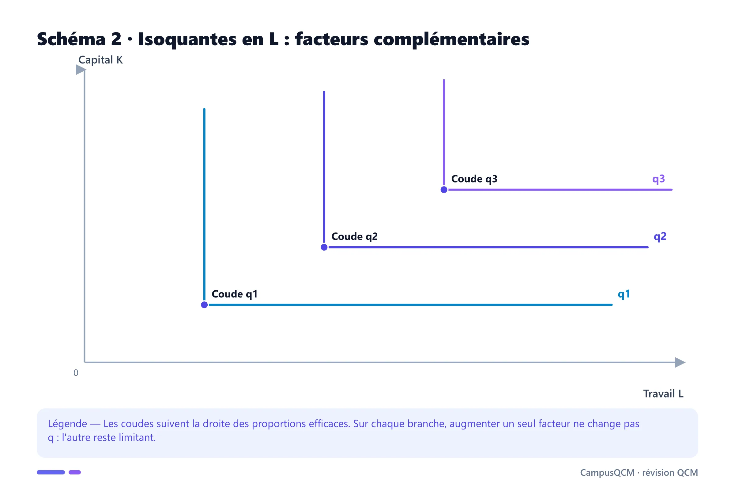 Trois isoquantes en L de niveaux croissants avec leurs coudes alignés sur les proportions efficaces.
