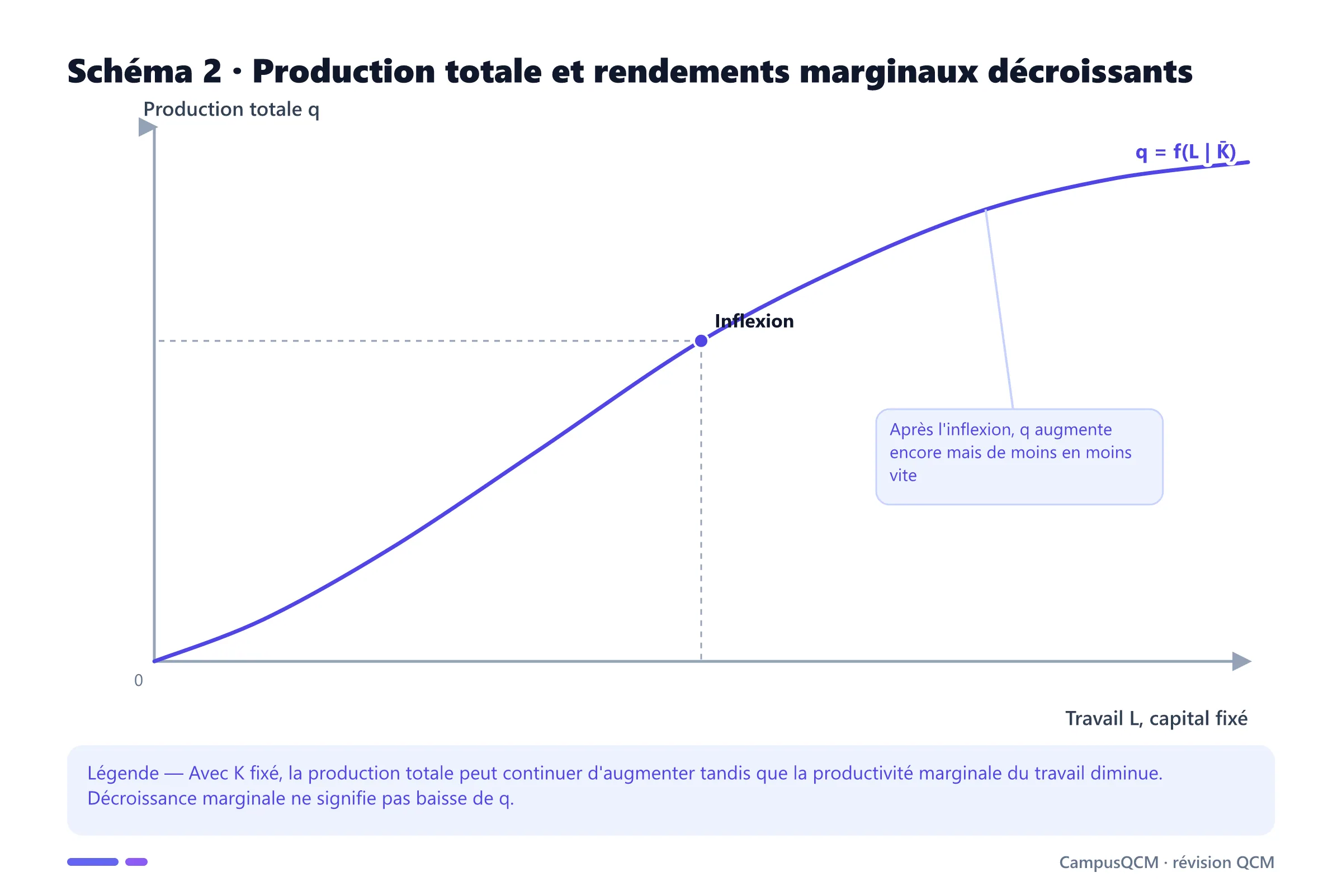 Courbe de production totale croissante dont la pente diminue lorsque les rendements marginaux deviennent décroissants.