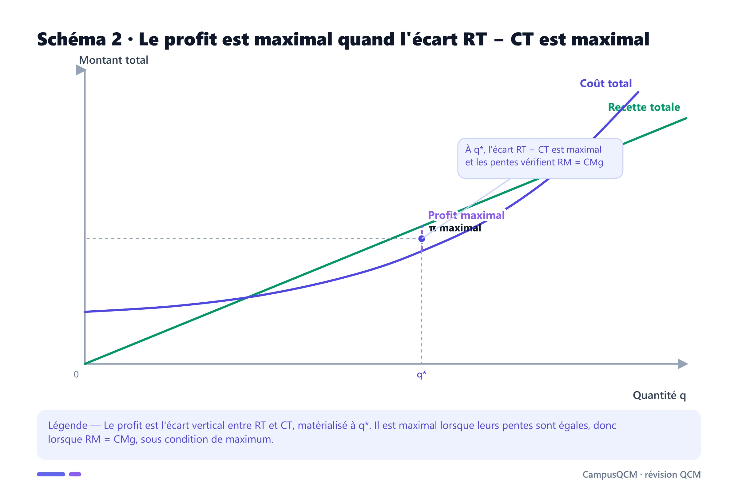 Courbes de recette totale et de coût total avec segment vertical matérialisant leur écart maximal à la quantité q étoile.