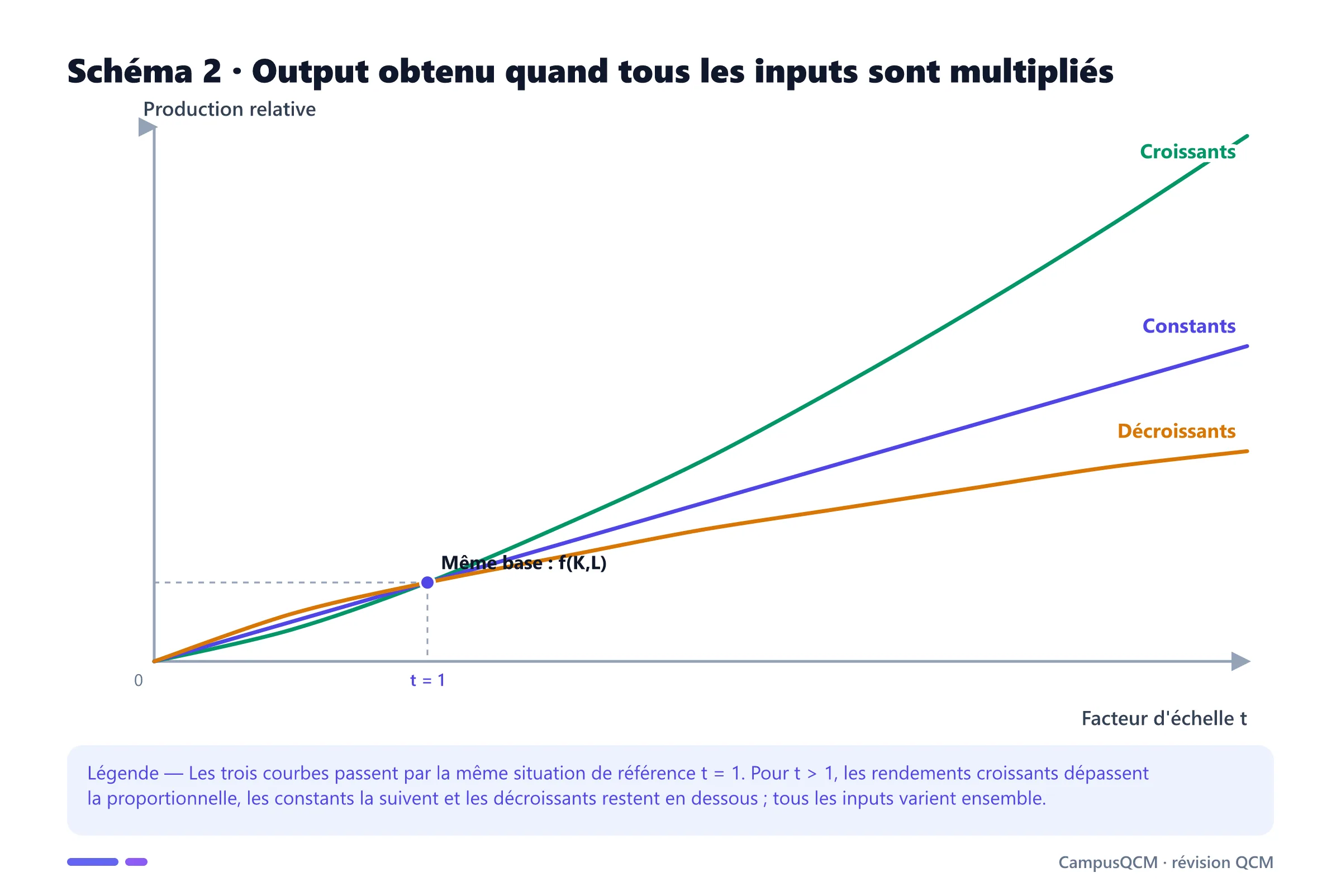 Trois courbes partant de la même production à t égal 1 puis divergeant selon des rendements d'échelle croissants, constants ou décroissants.