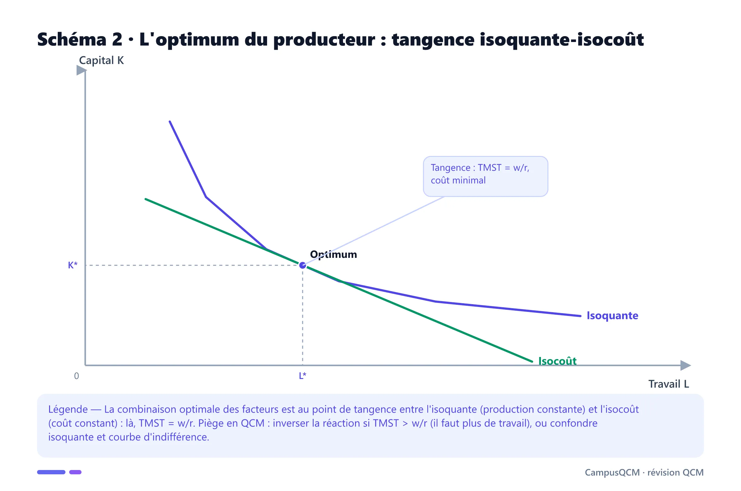 Graphique de l'optimum du producteur : une isoquante convexe tangente à une droite d'isocoût au point optimal (L*, K*) où le TMST égale le rapport des prix des facteurs.